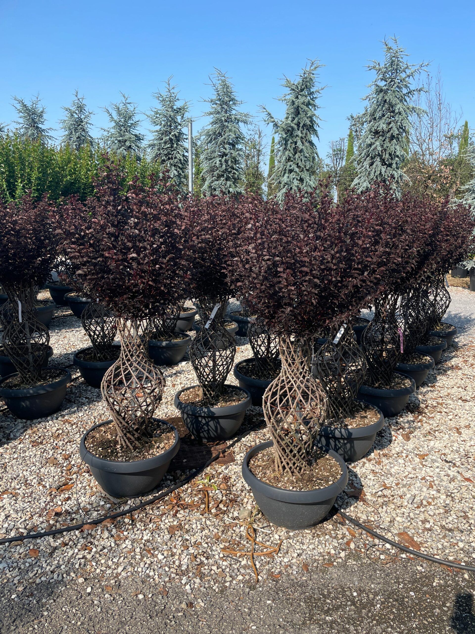 1687850507 scaled 06bdd258