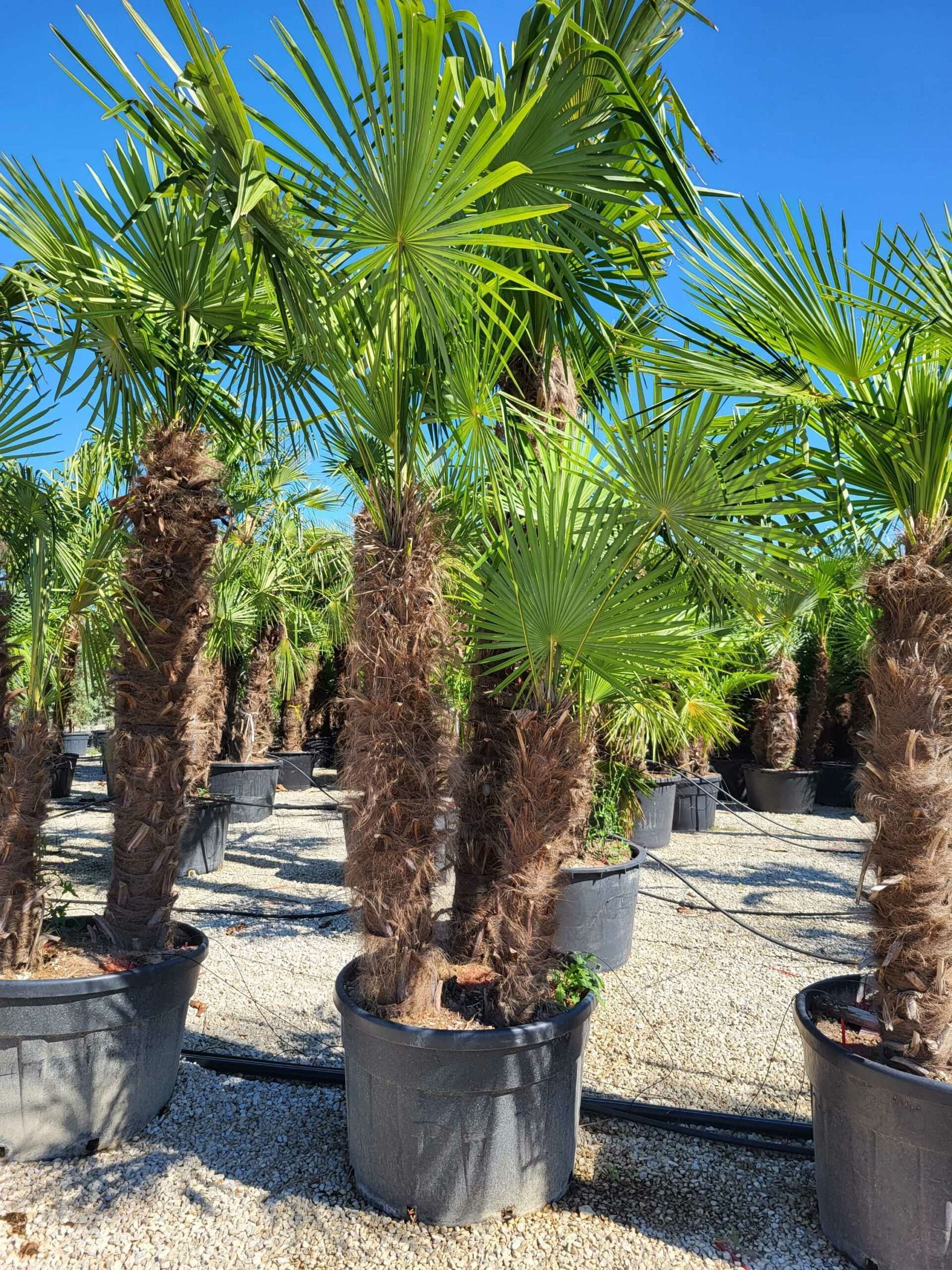 1691482795 scaled 0626e829