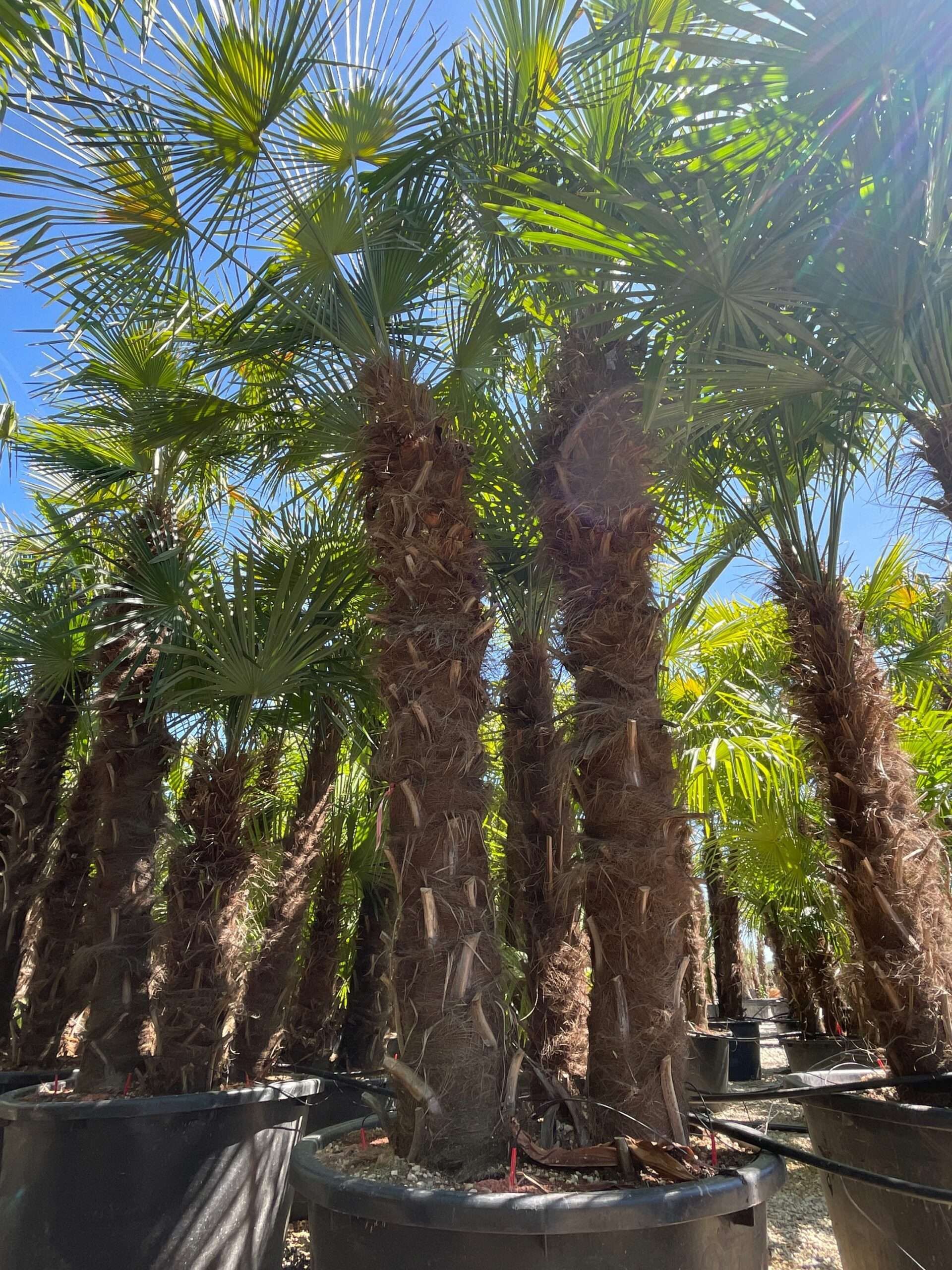 1691499959 scaled 06782285