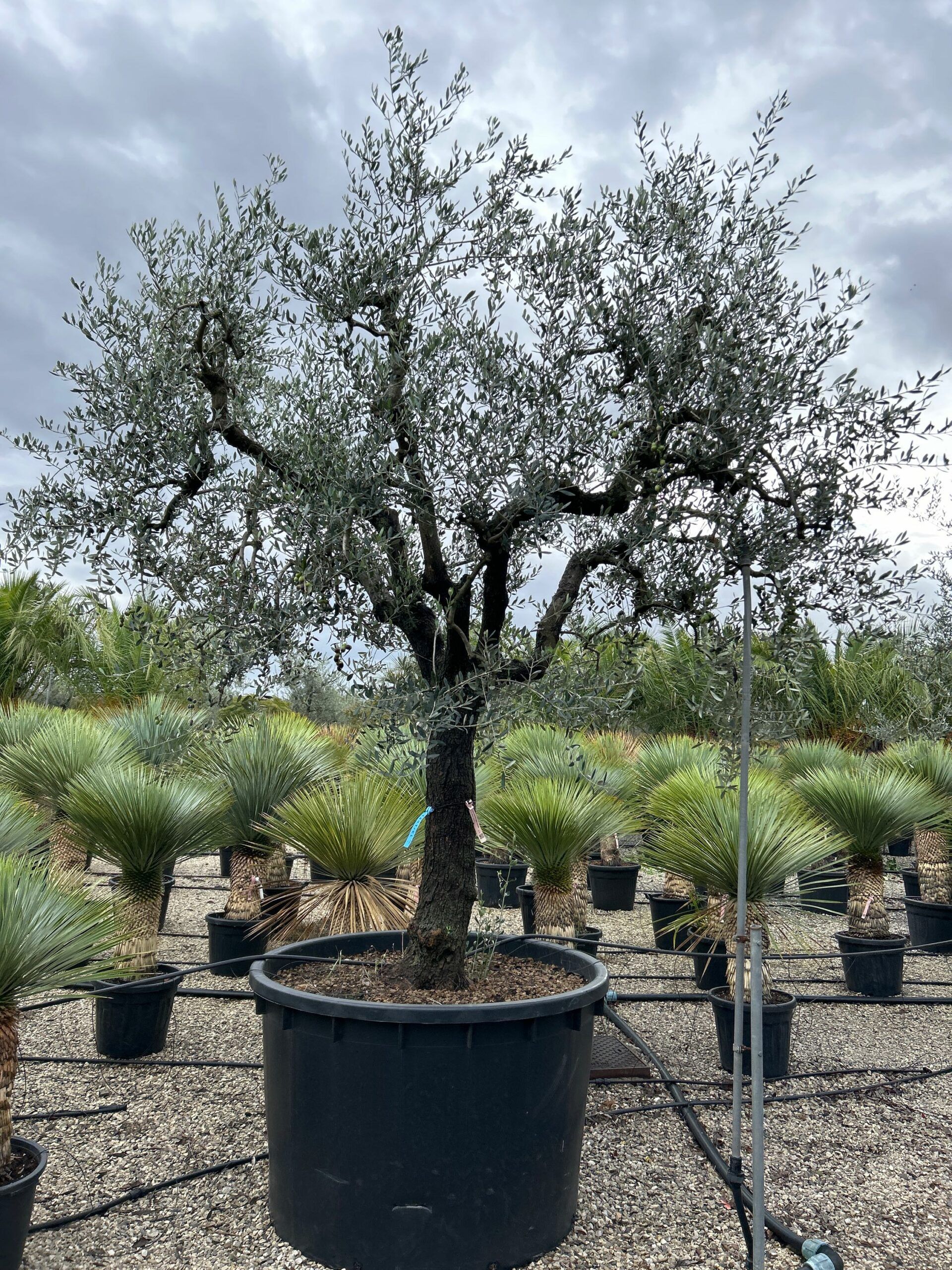 1698309308 scaled 0686ee0a