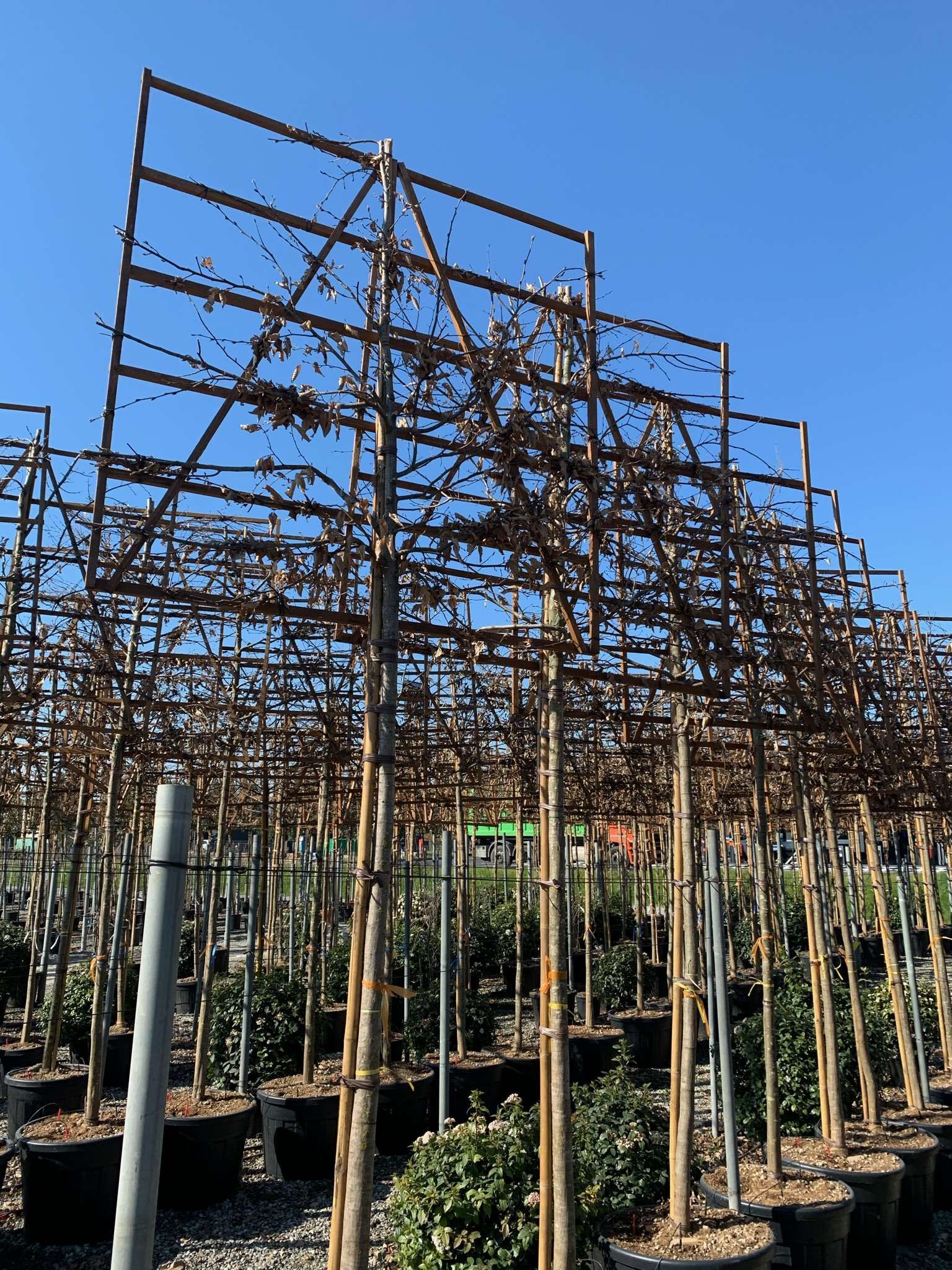 1616597695 01af9a721c3181a1e4ae73a9e7f2c96f1066b18a09 07f55115