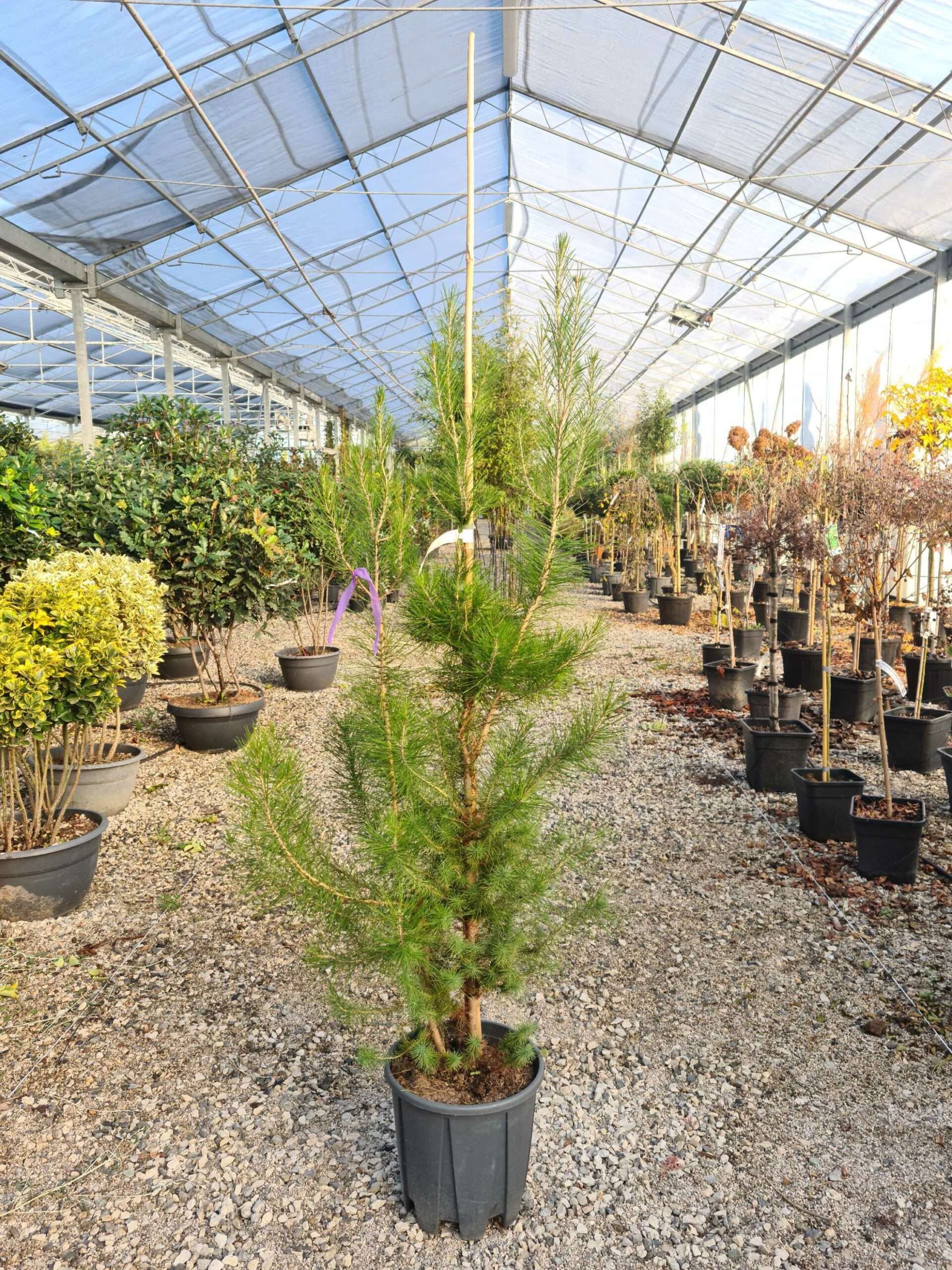 1639472976 scaled 07e33e4c