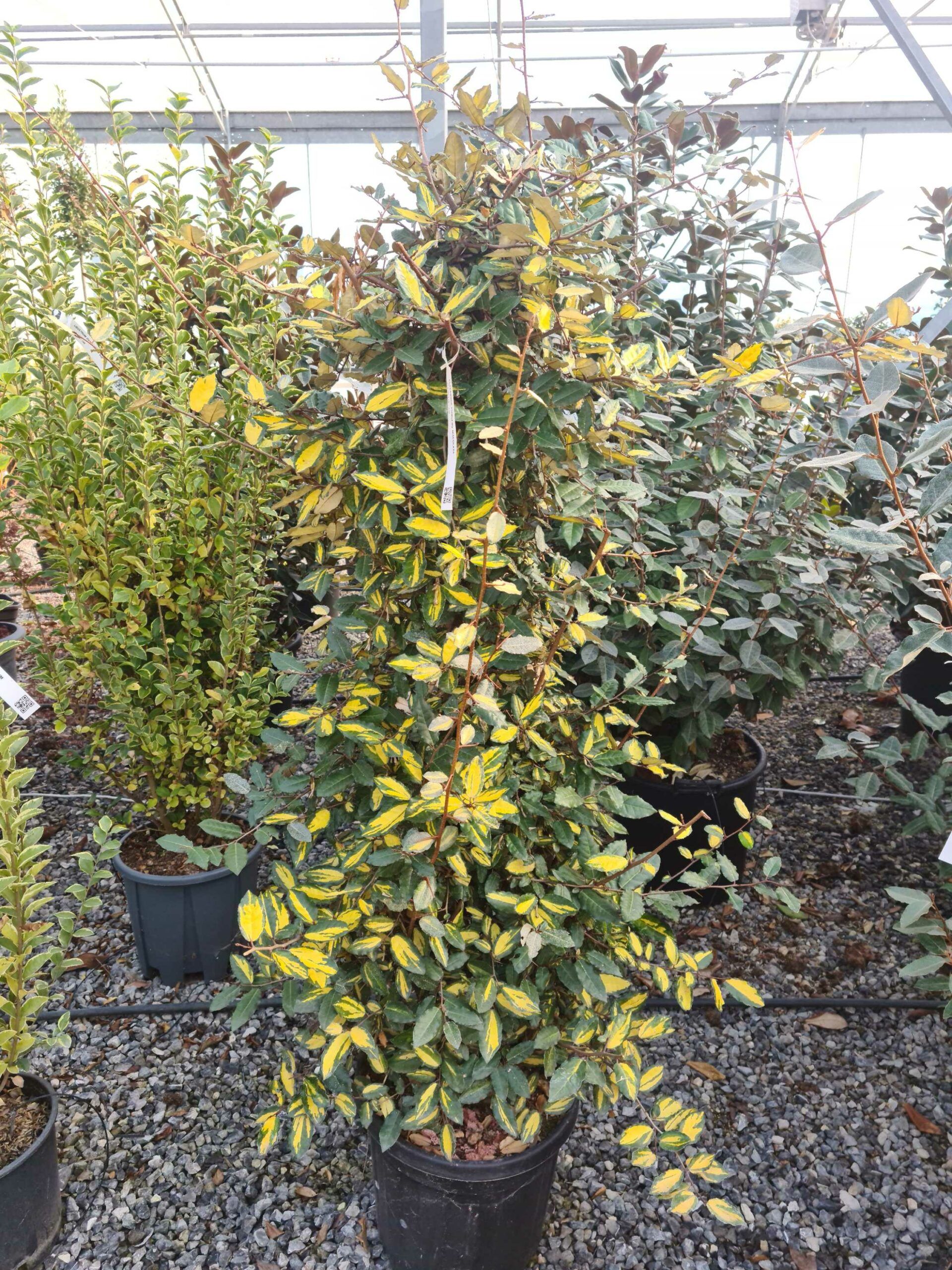 1639478033 scaled 0762e5b0