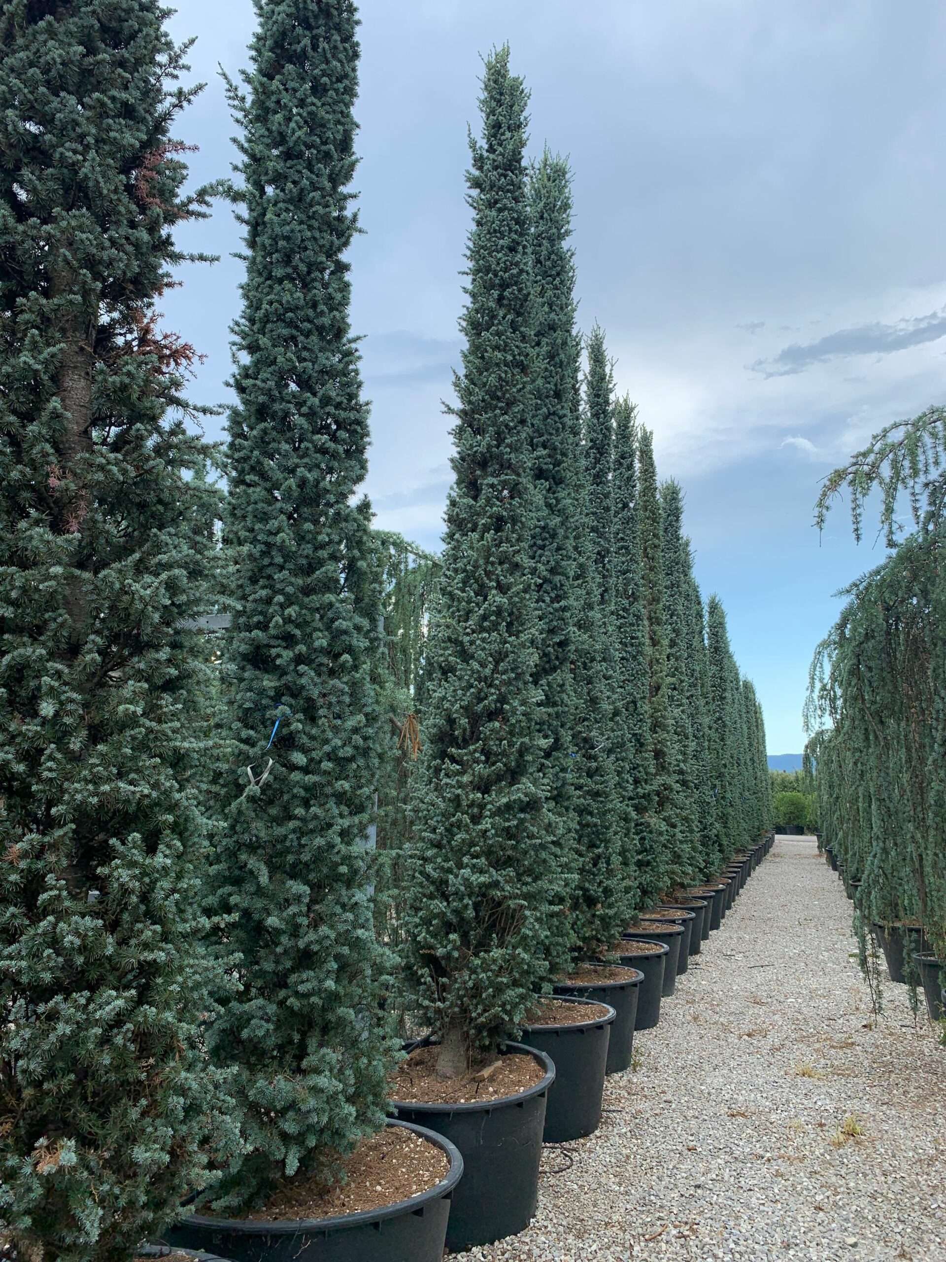 1657552899 scaled 07ee72b0