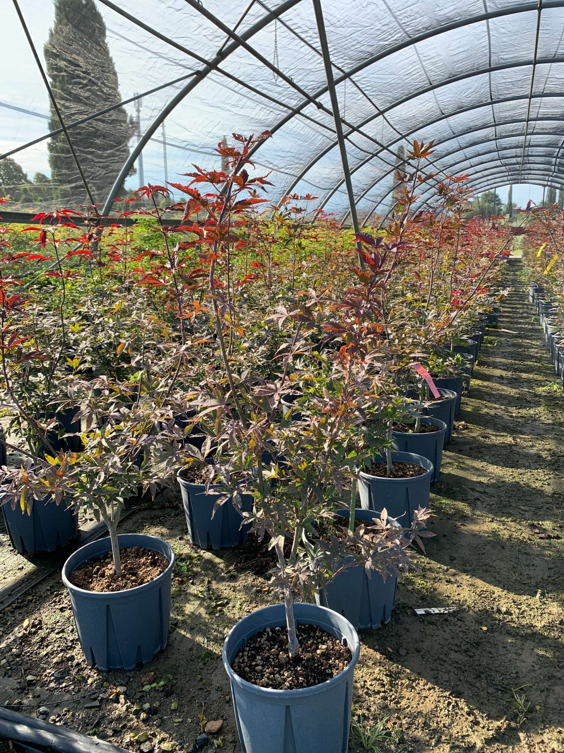 1662103470 scaled 077d8118