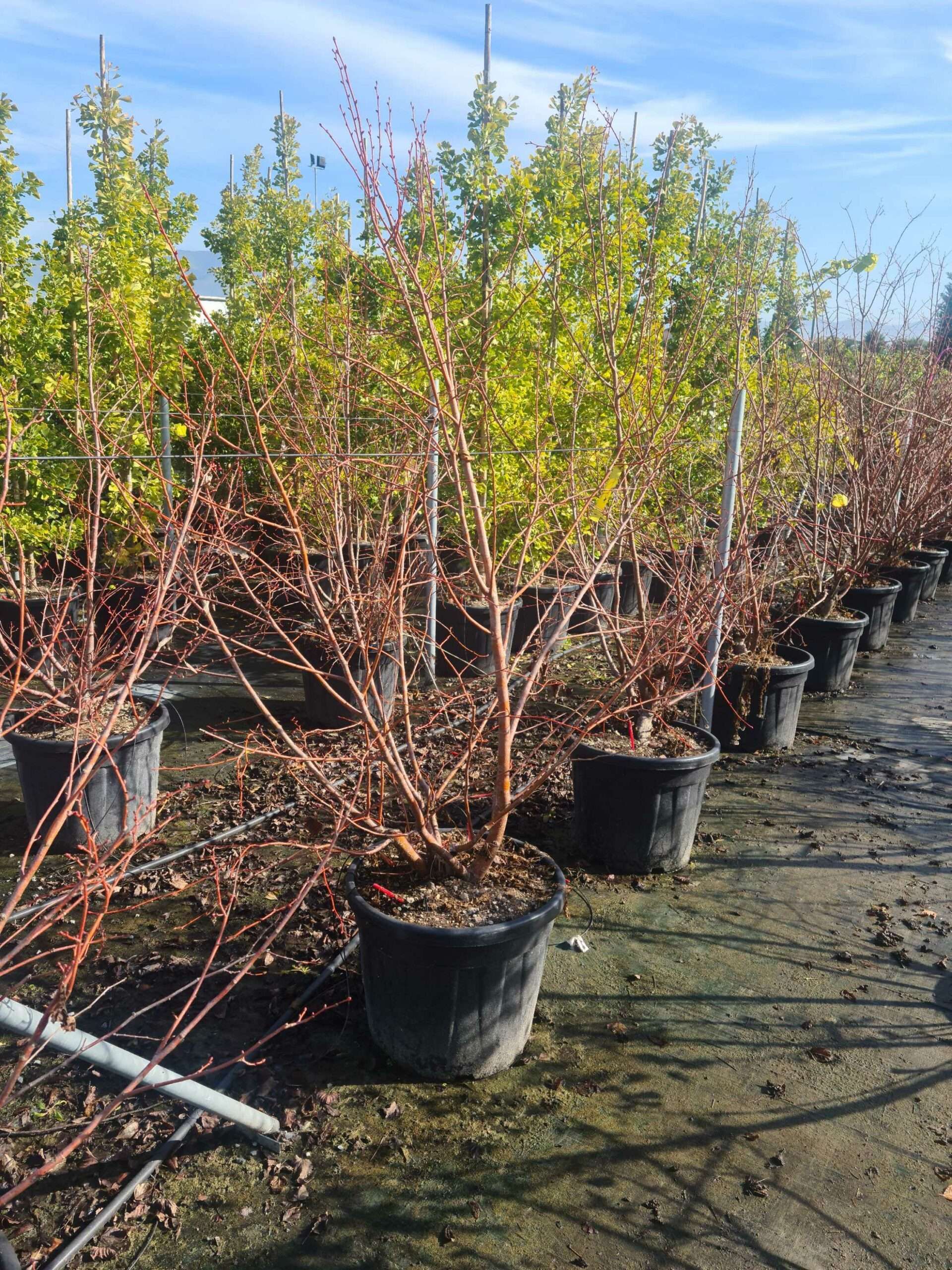 1666257988 scaled 07152e1b