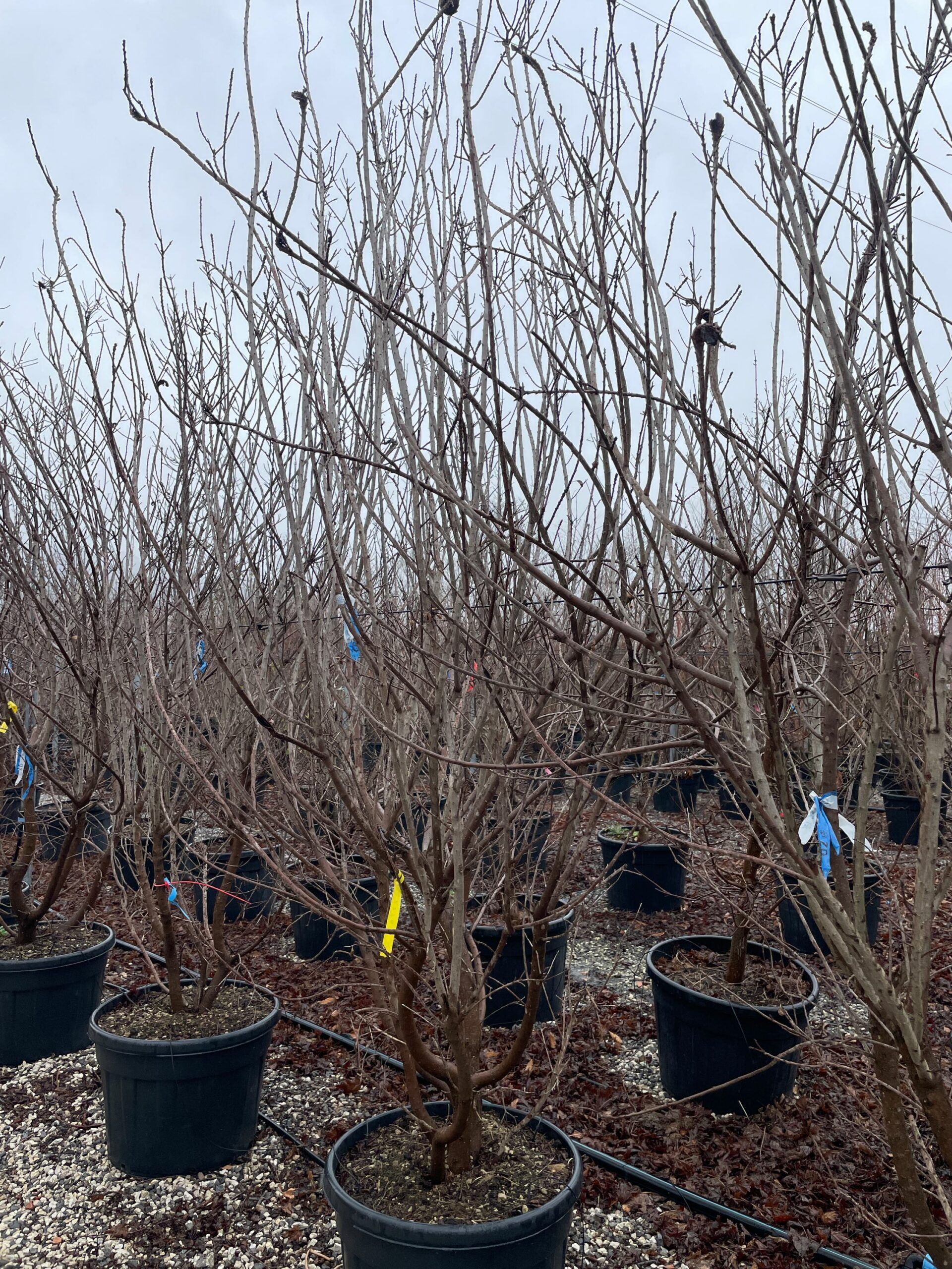 1677403791 scaled 07f25b42