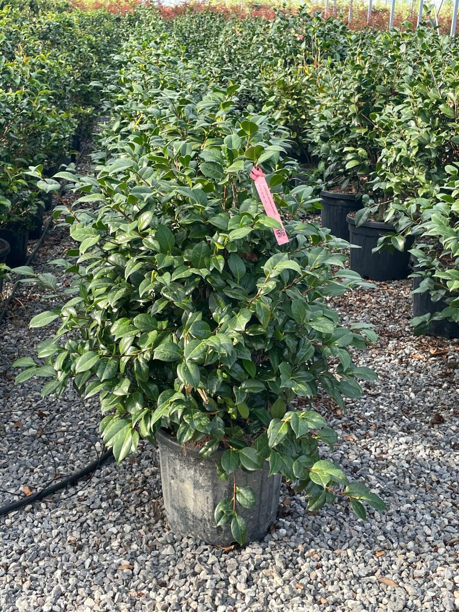 1691511056 scaled 072c857d