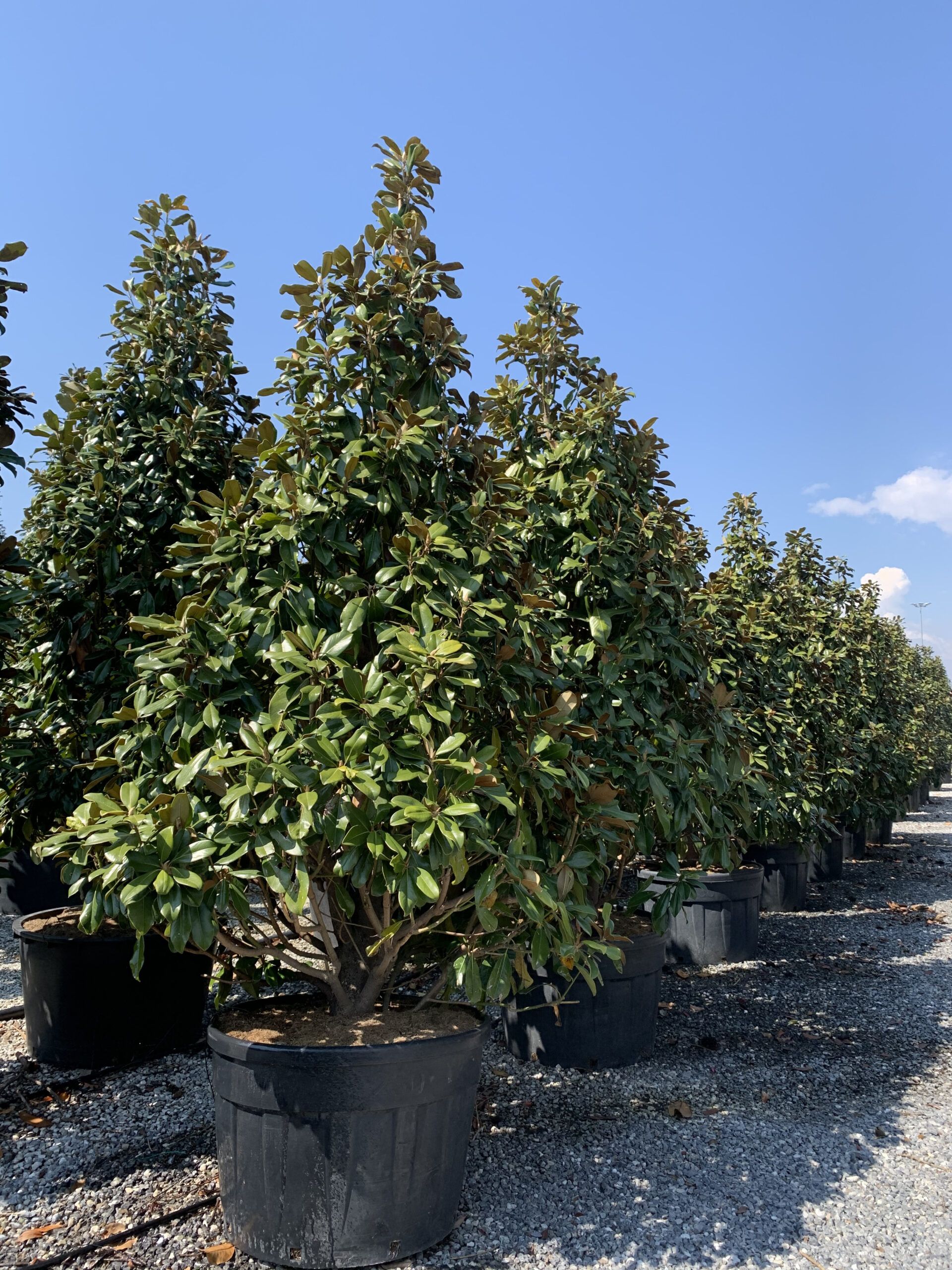 1619075523 scaled 0856b7ed