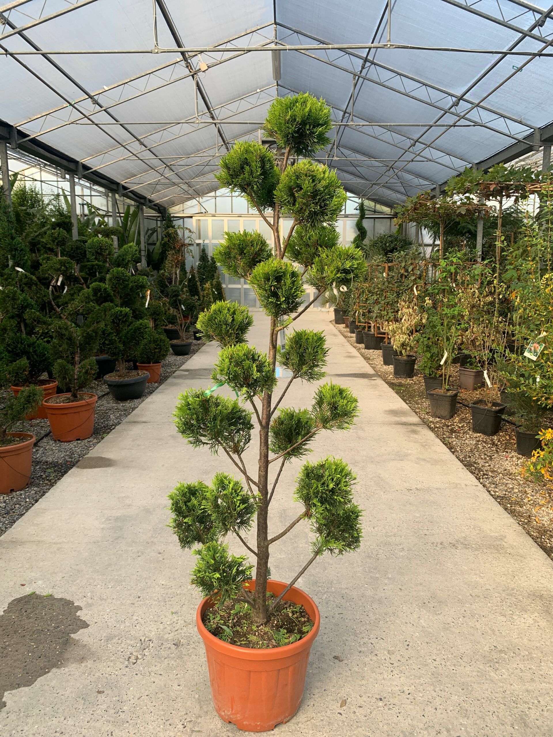 1637242723 scaled 082e0706