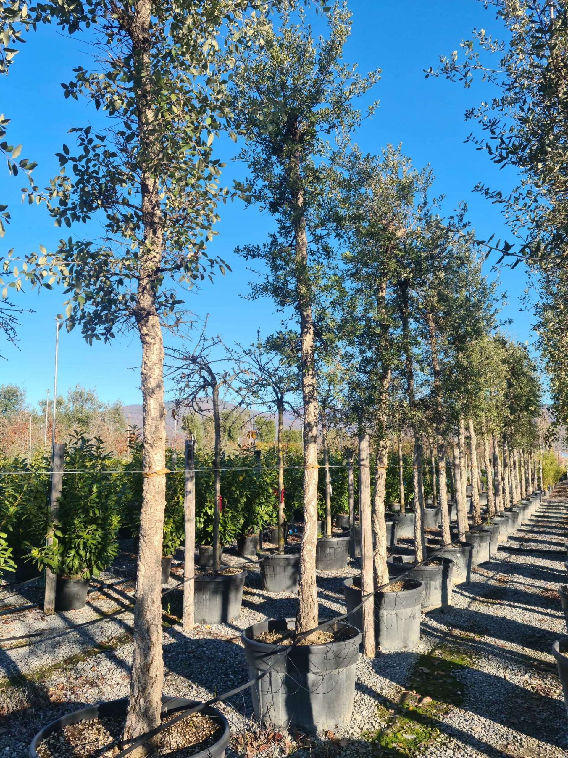 1639731437 scaled 081d1cdc