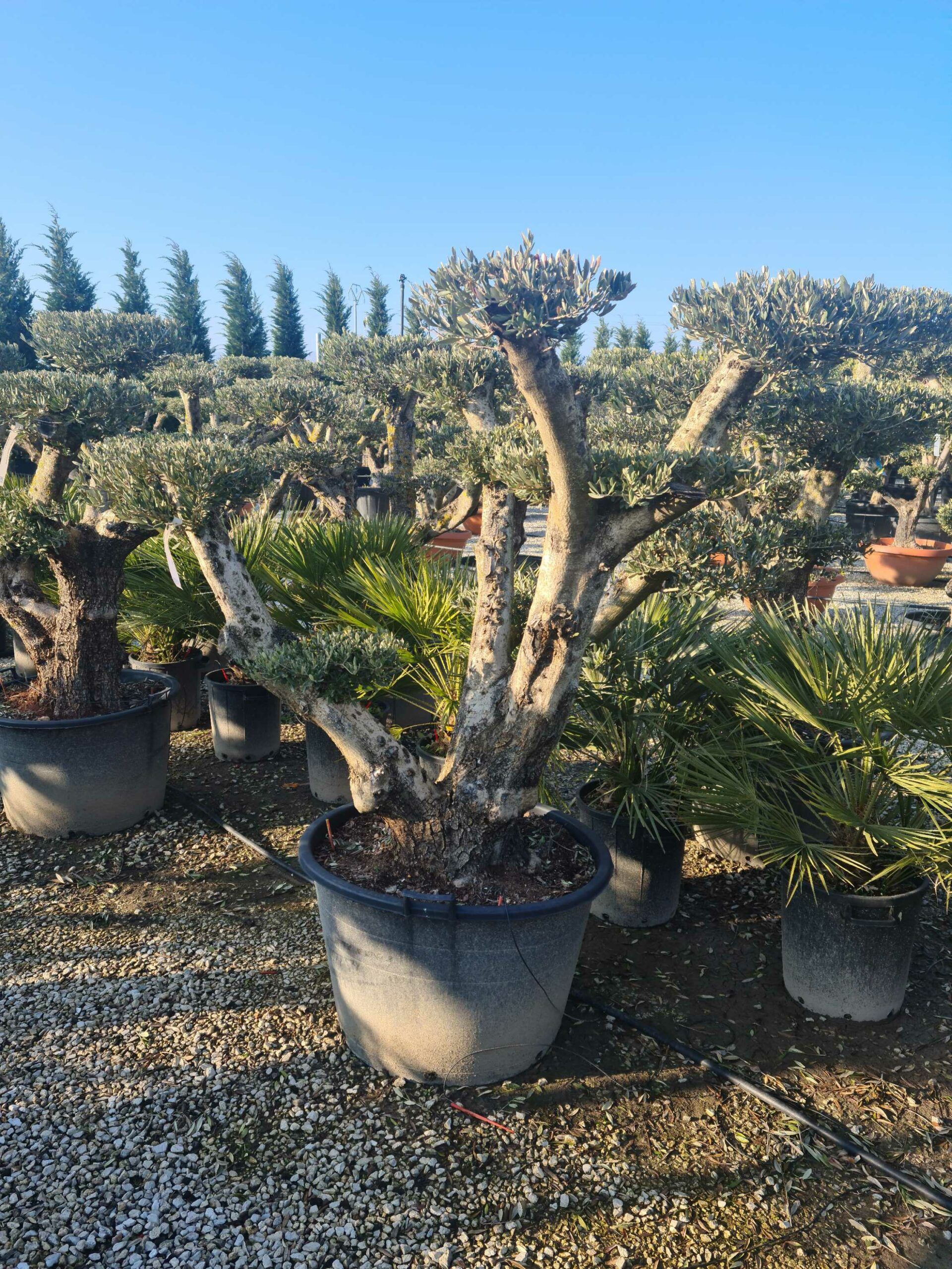 1642774236 scaled 088ab82b