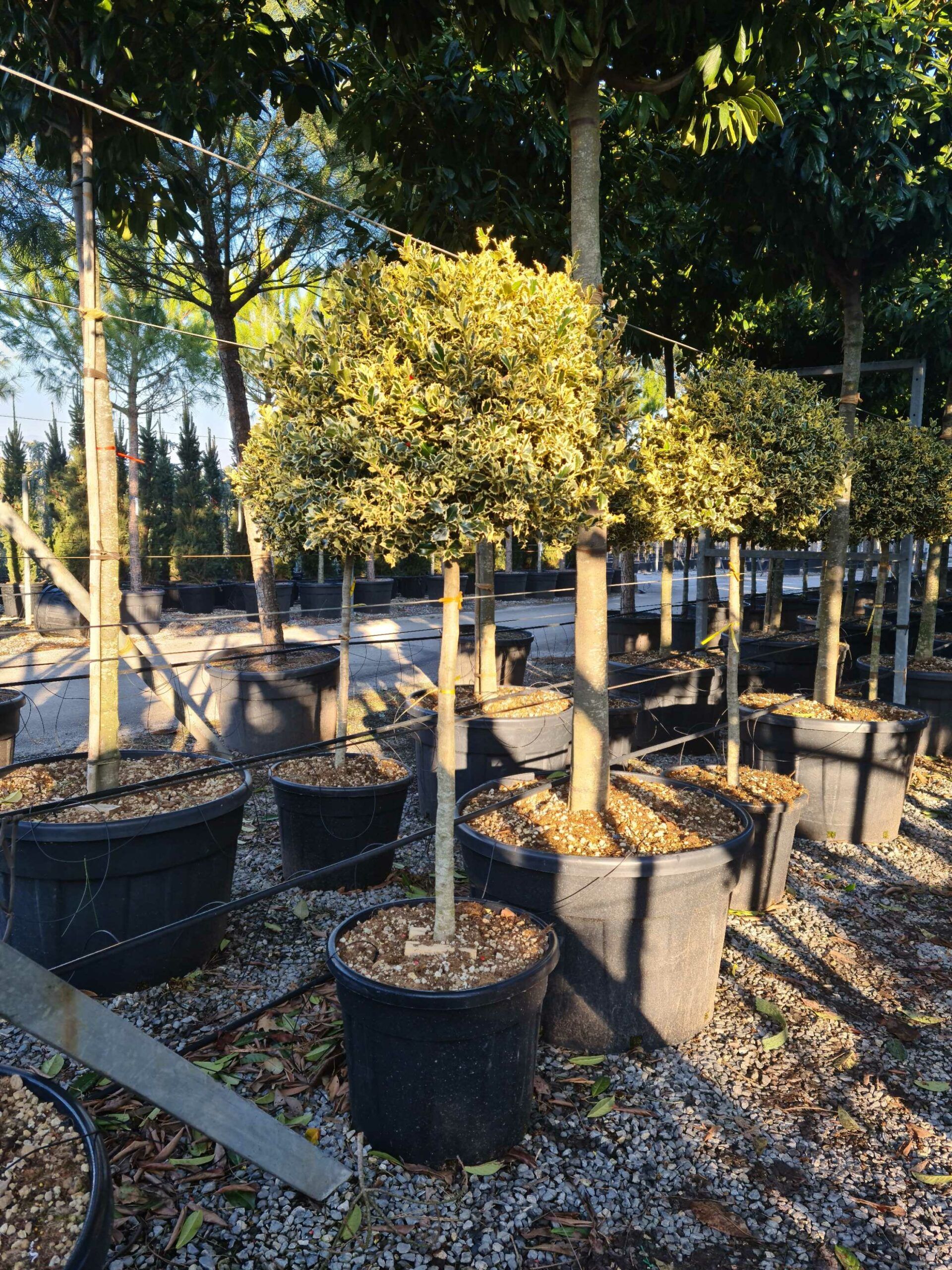 1643098531 scaled 08d8d8b0