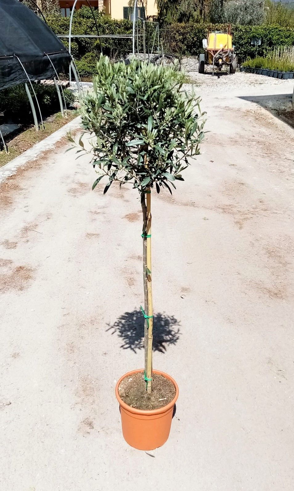 1650530214 PHOTO 2022 04 14 13 31 49 08b4d65b