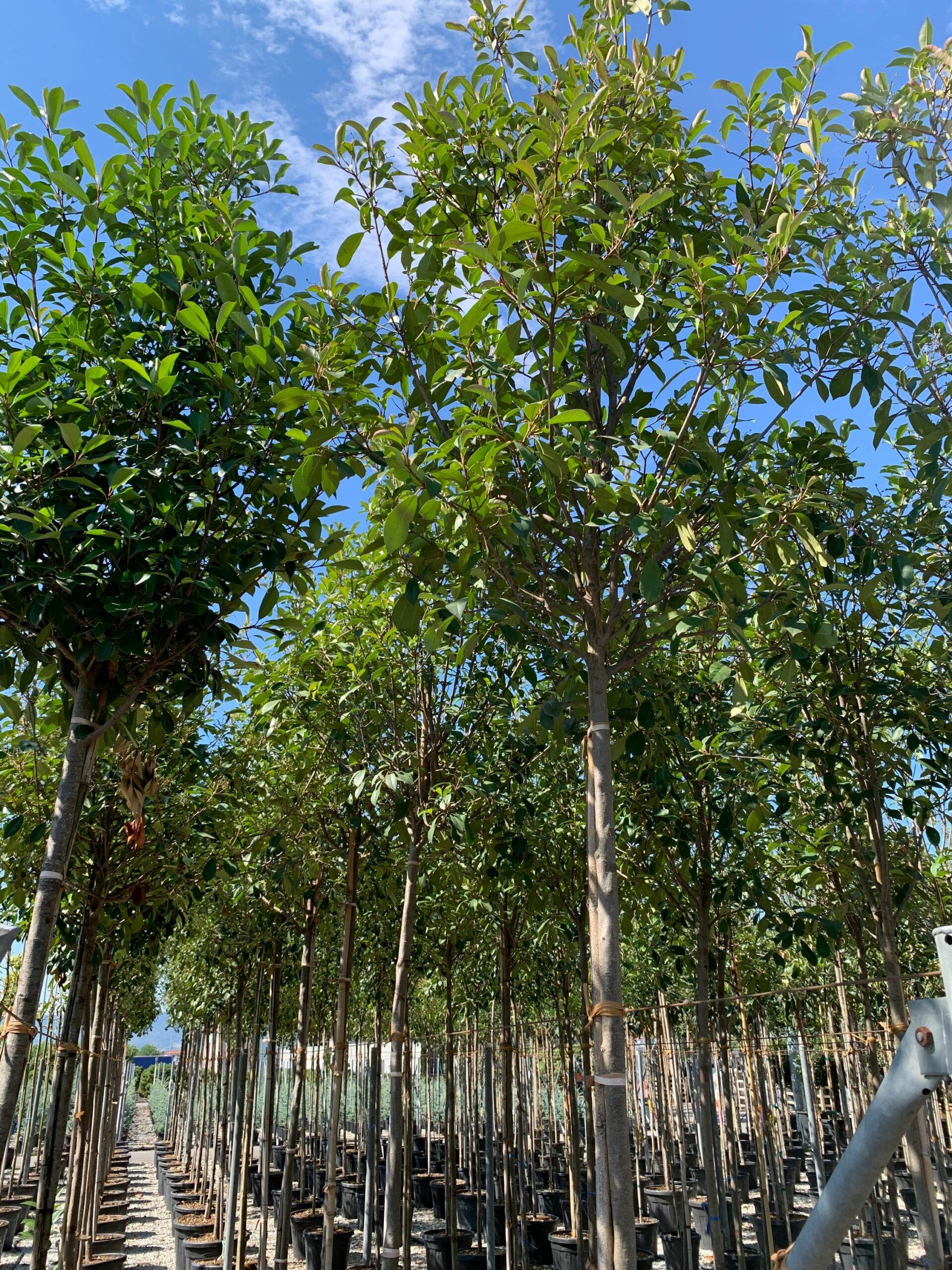 1657527717 scaled 08c6d93d