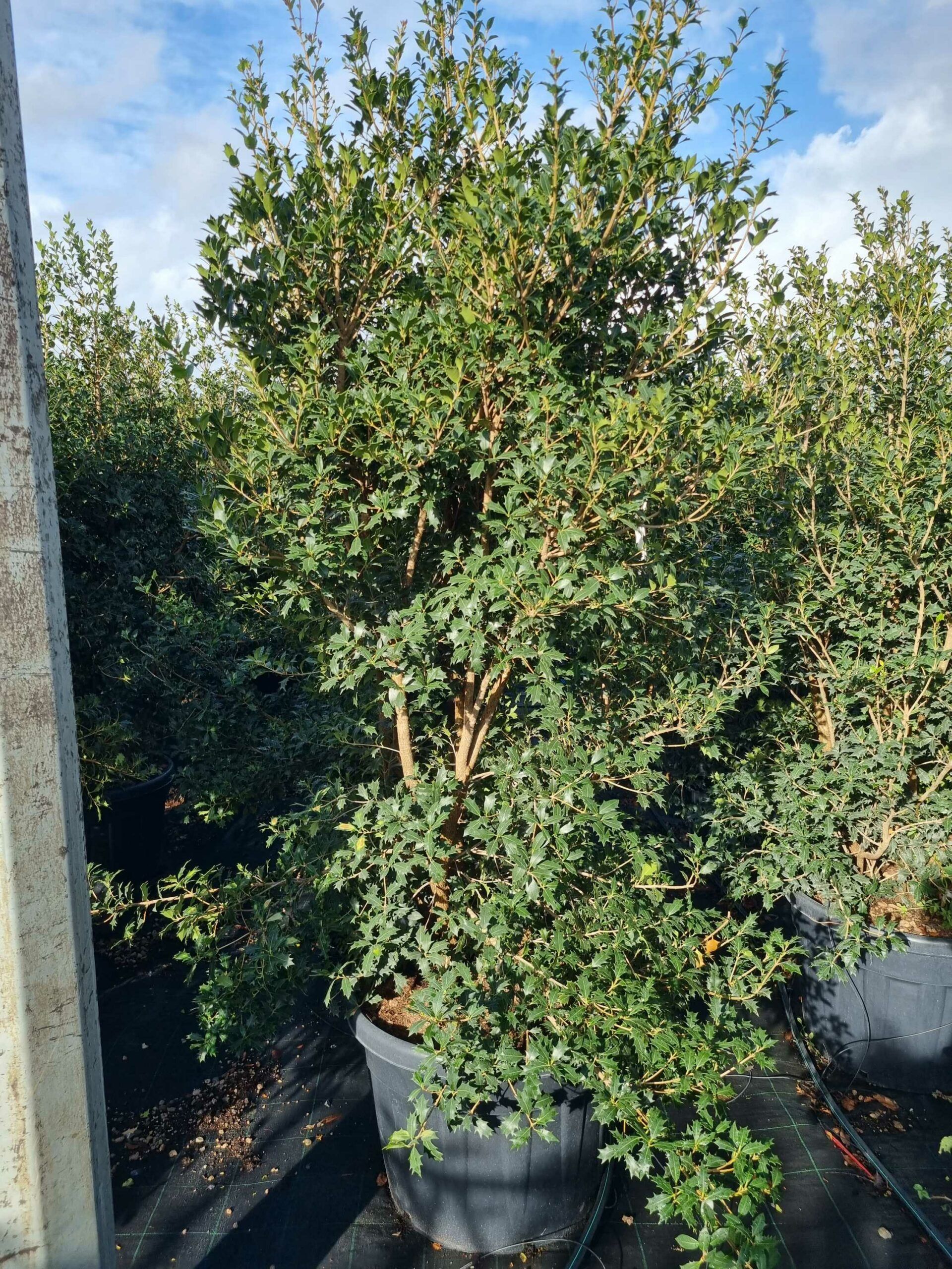 1664436575 scaled 08e05ea5