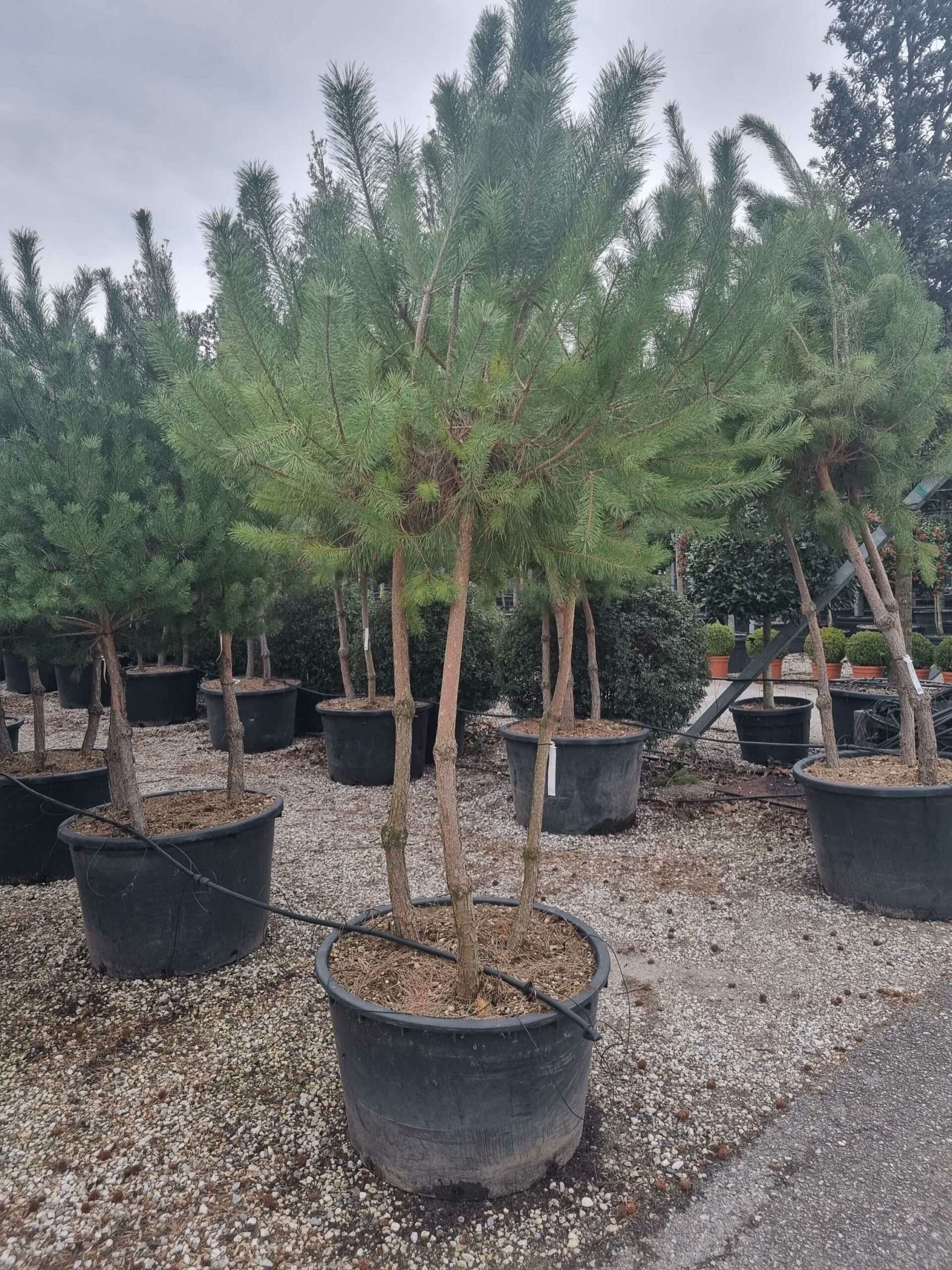 1676561408 scaled 08b4c2b1