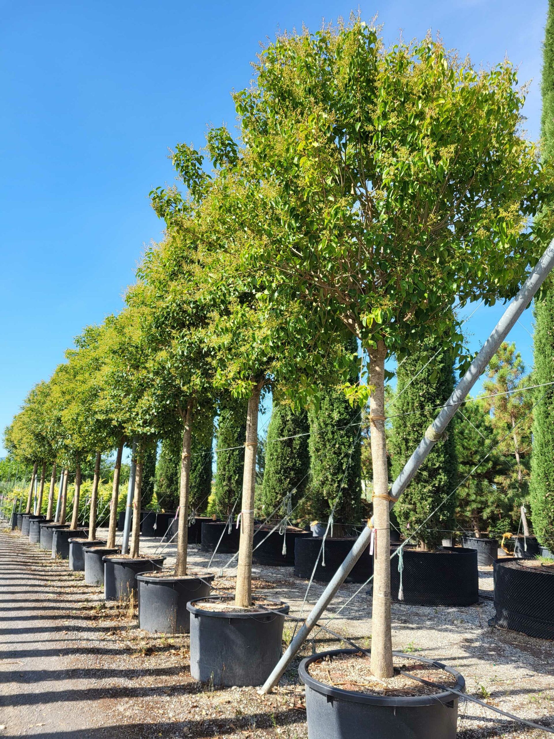 1691567606 scaled 08da18bd