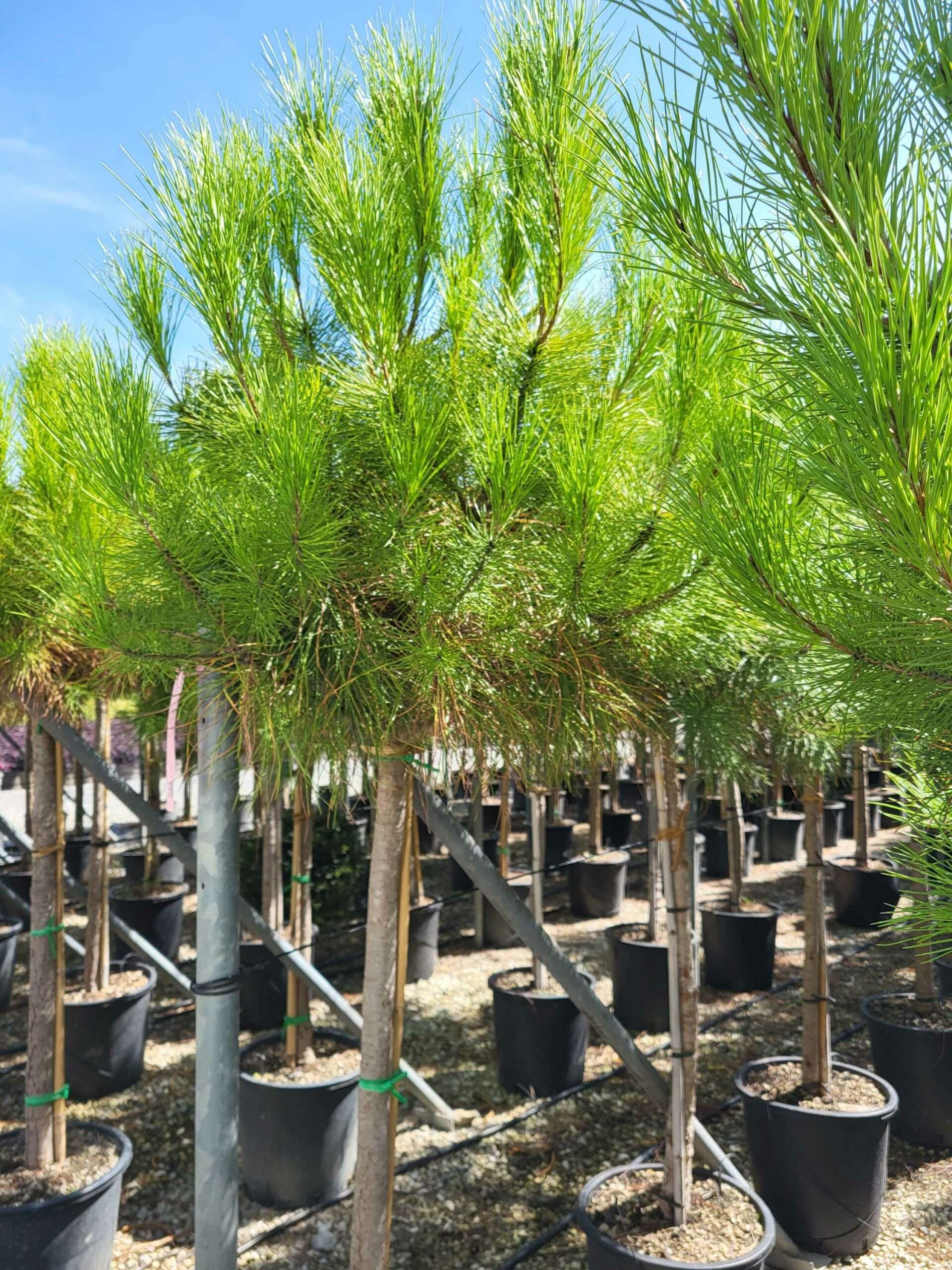 1691571837 scaled 0876275a