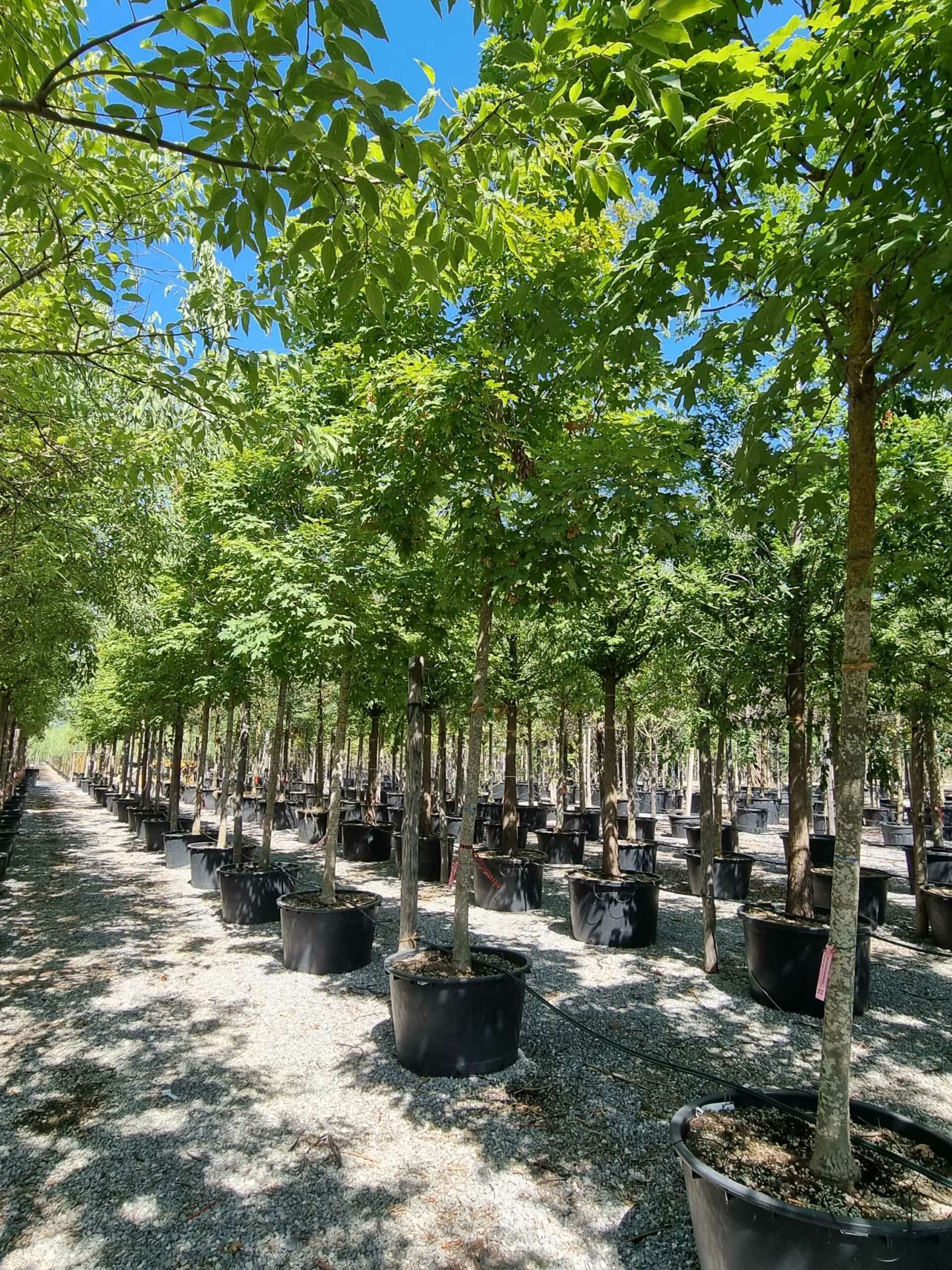 1692708795 scaled 08c89d88