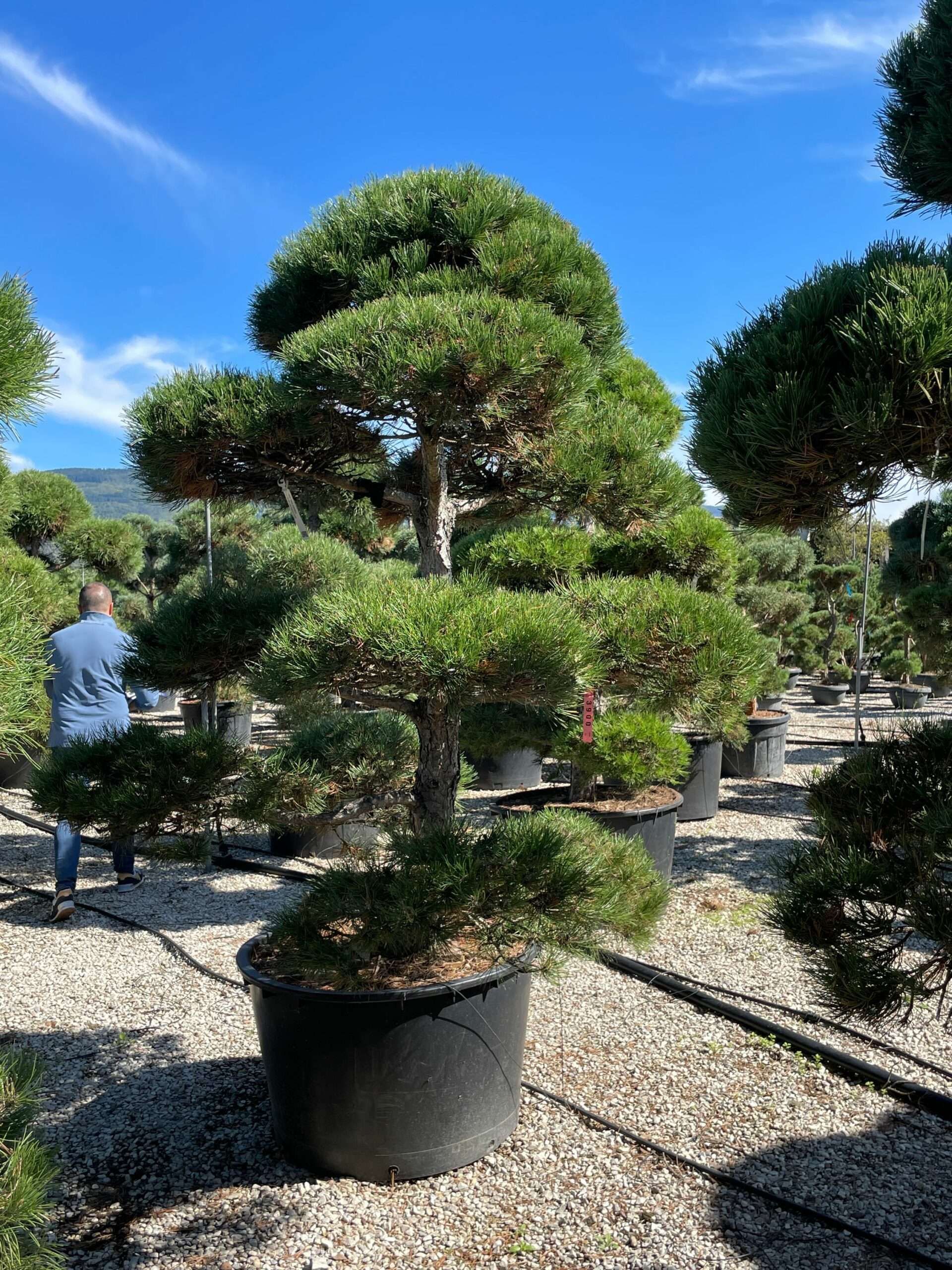 1632304461 scaled 09f9820d