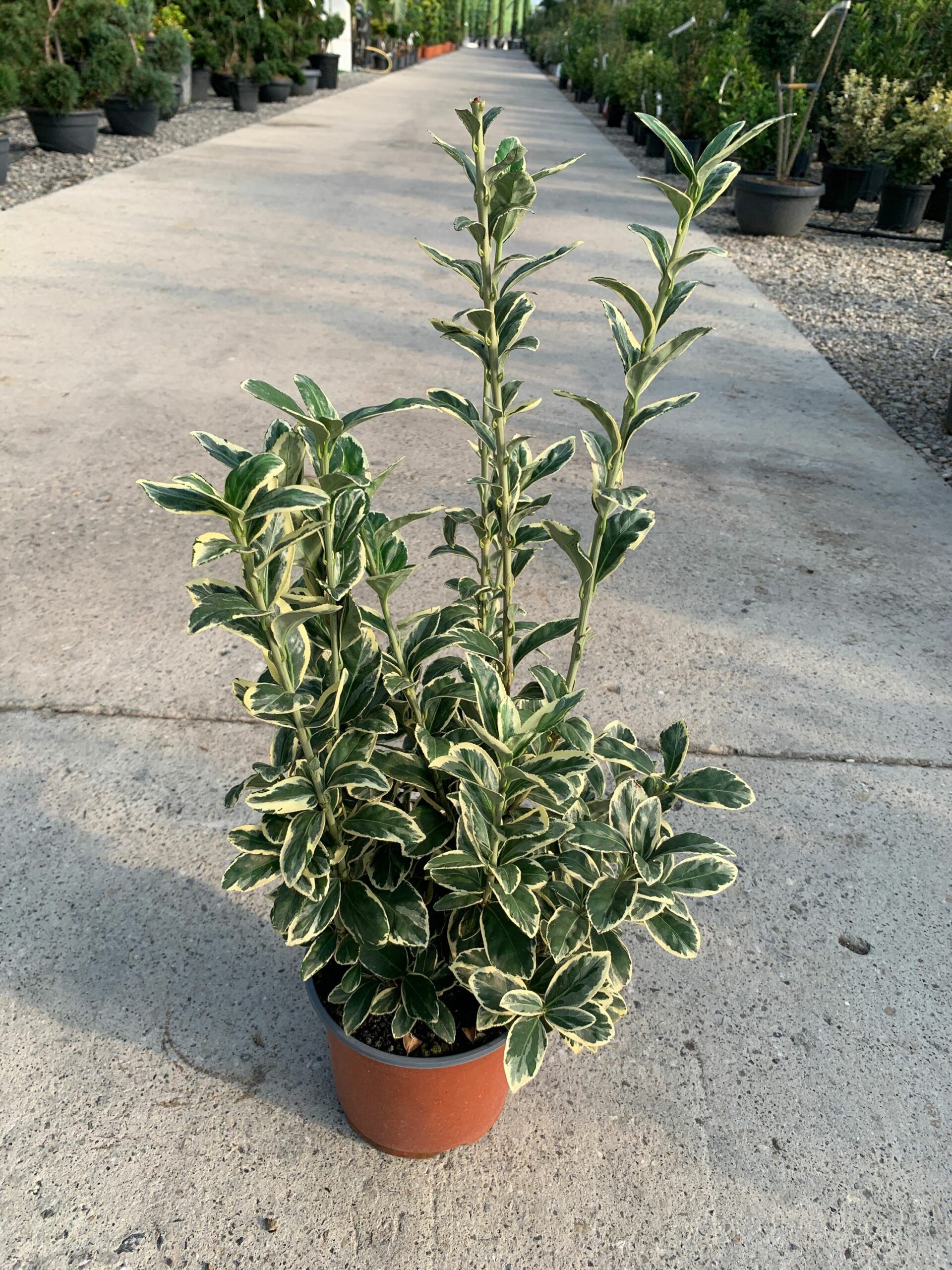 1632815259 scaled 092c91ea