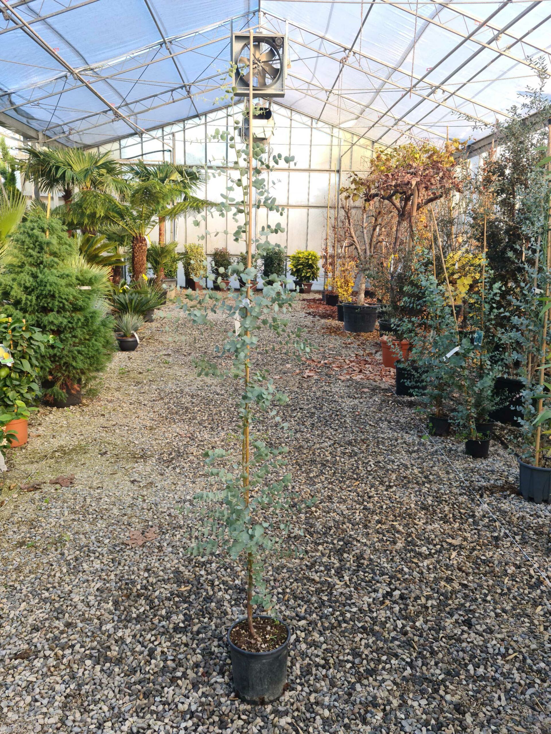 1639472106 scaled 09b69095