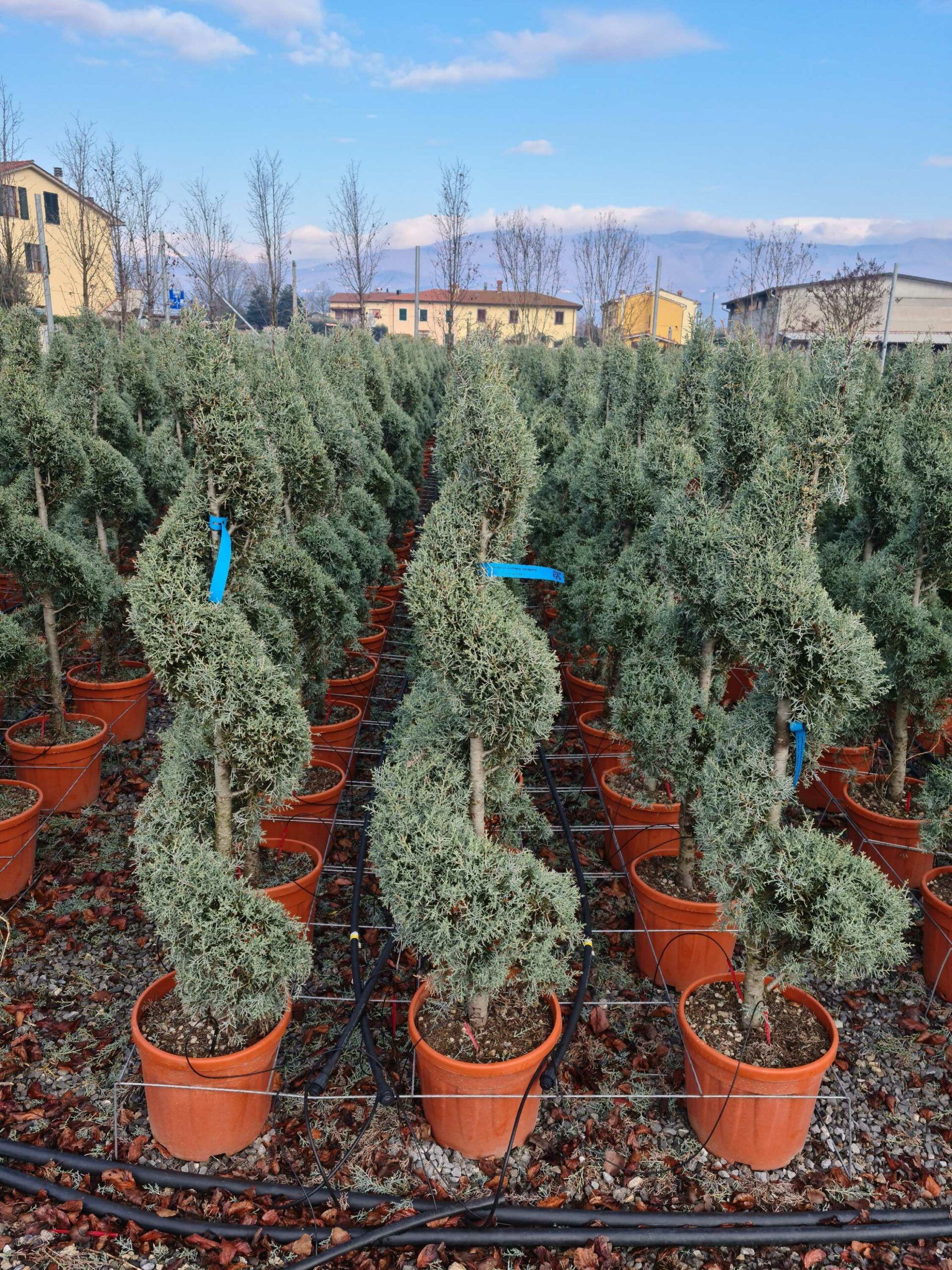 1640165259 scaled 09e65ad2