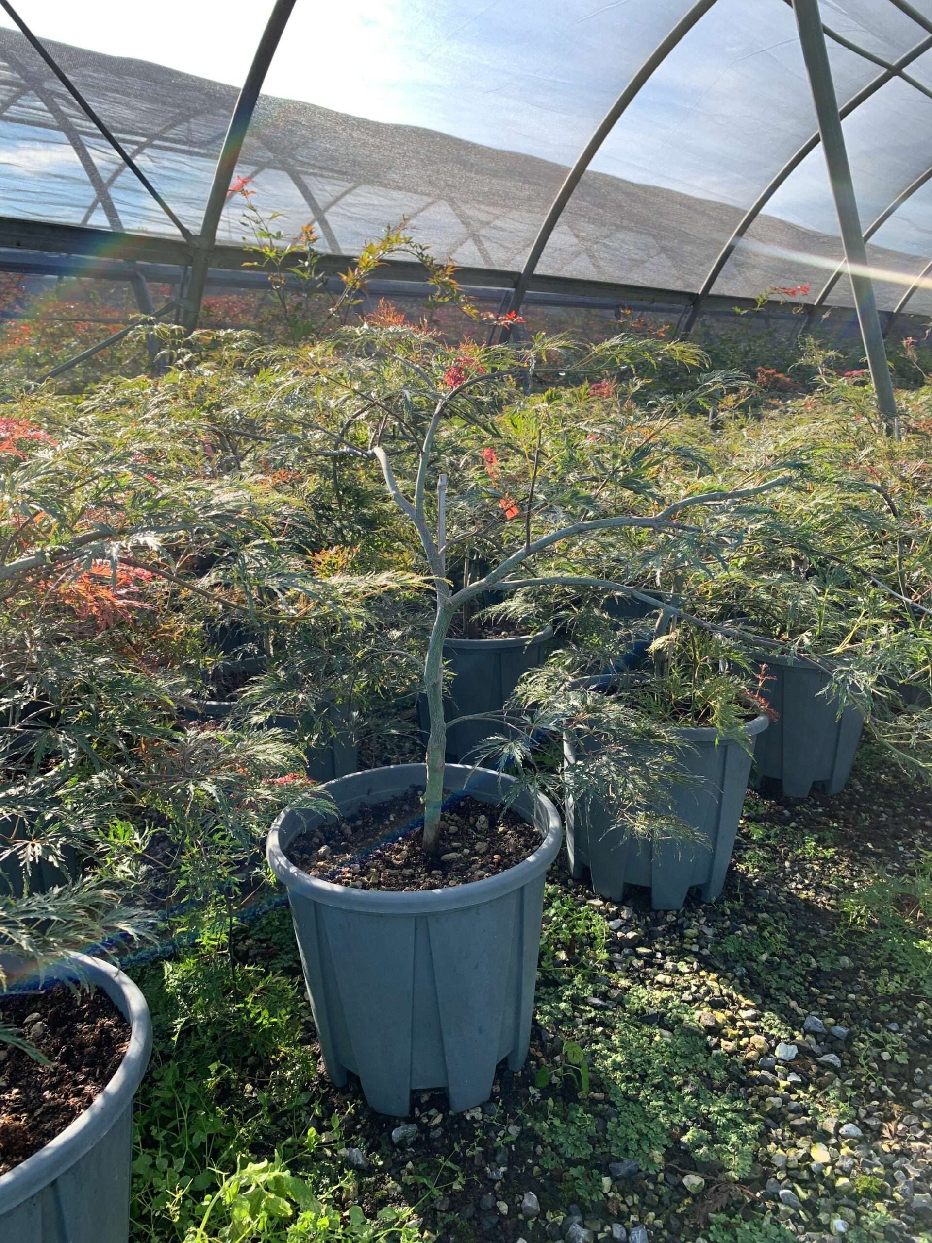 1662102849 scaled 093e3c19