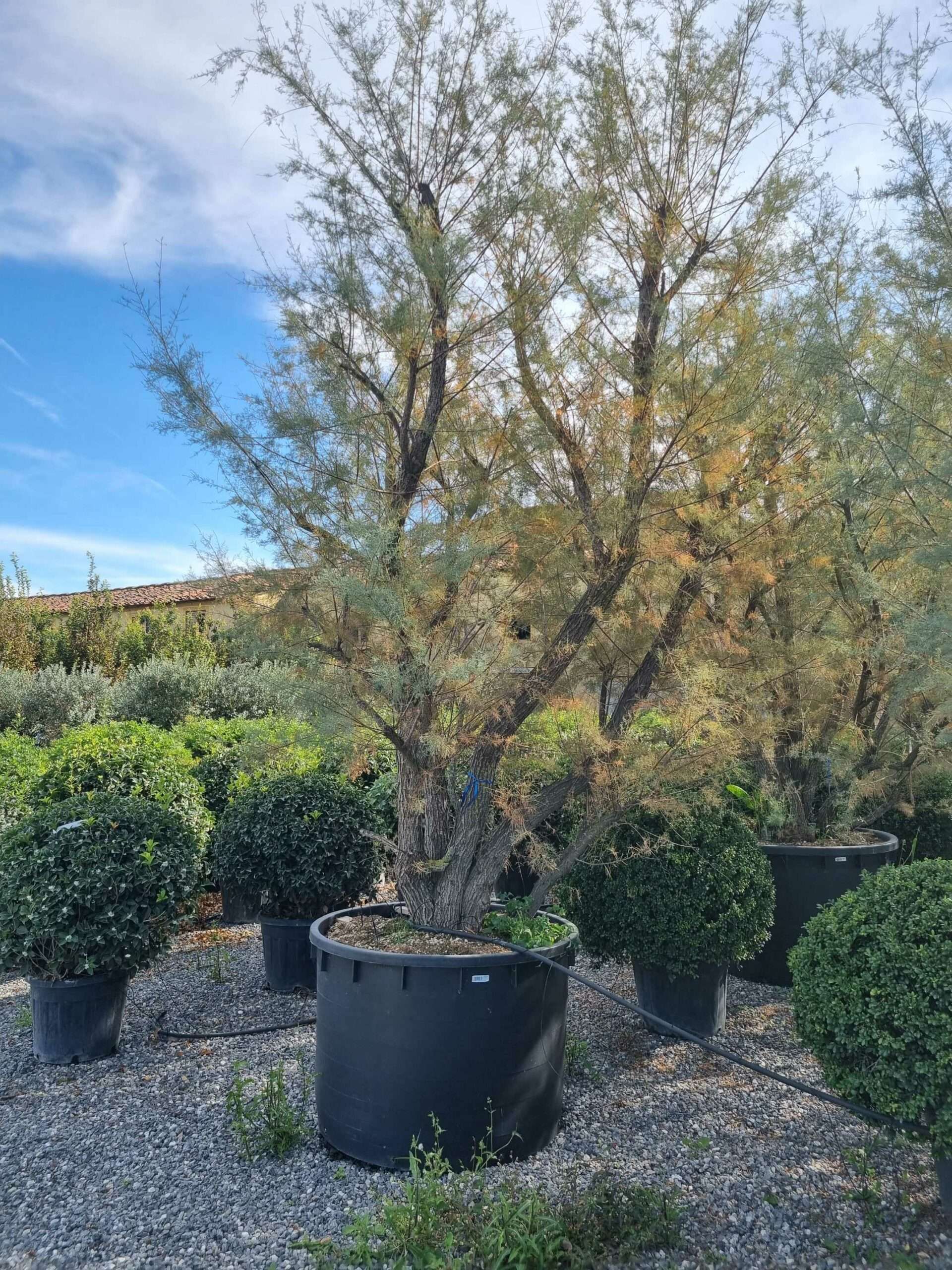 1665062033 scaled 0998f2e5