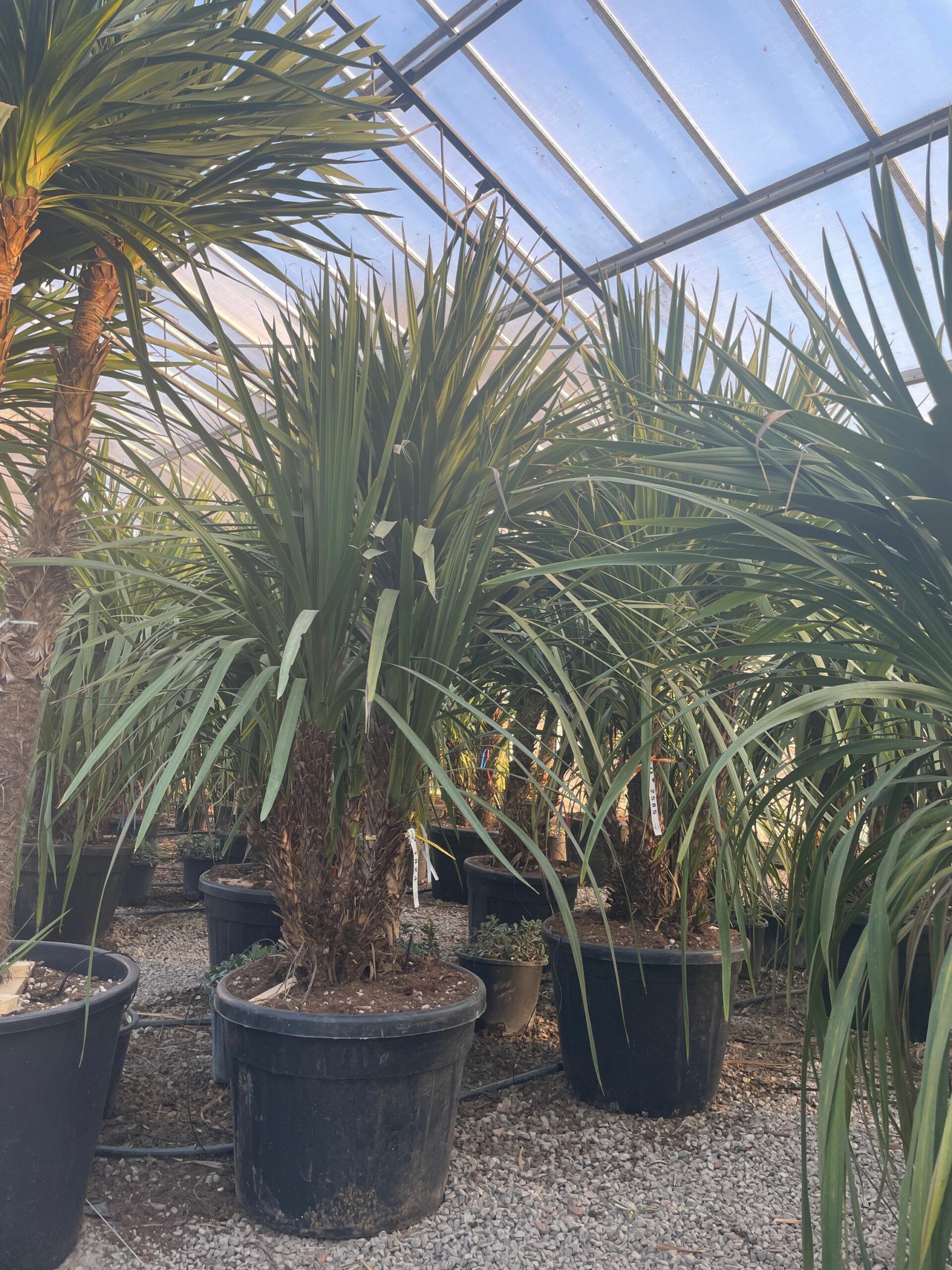 1676389307 scaled 09b664ee