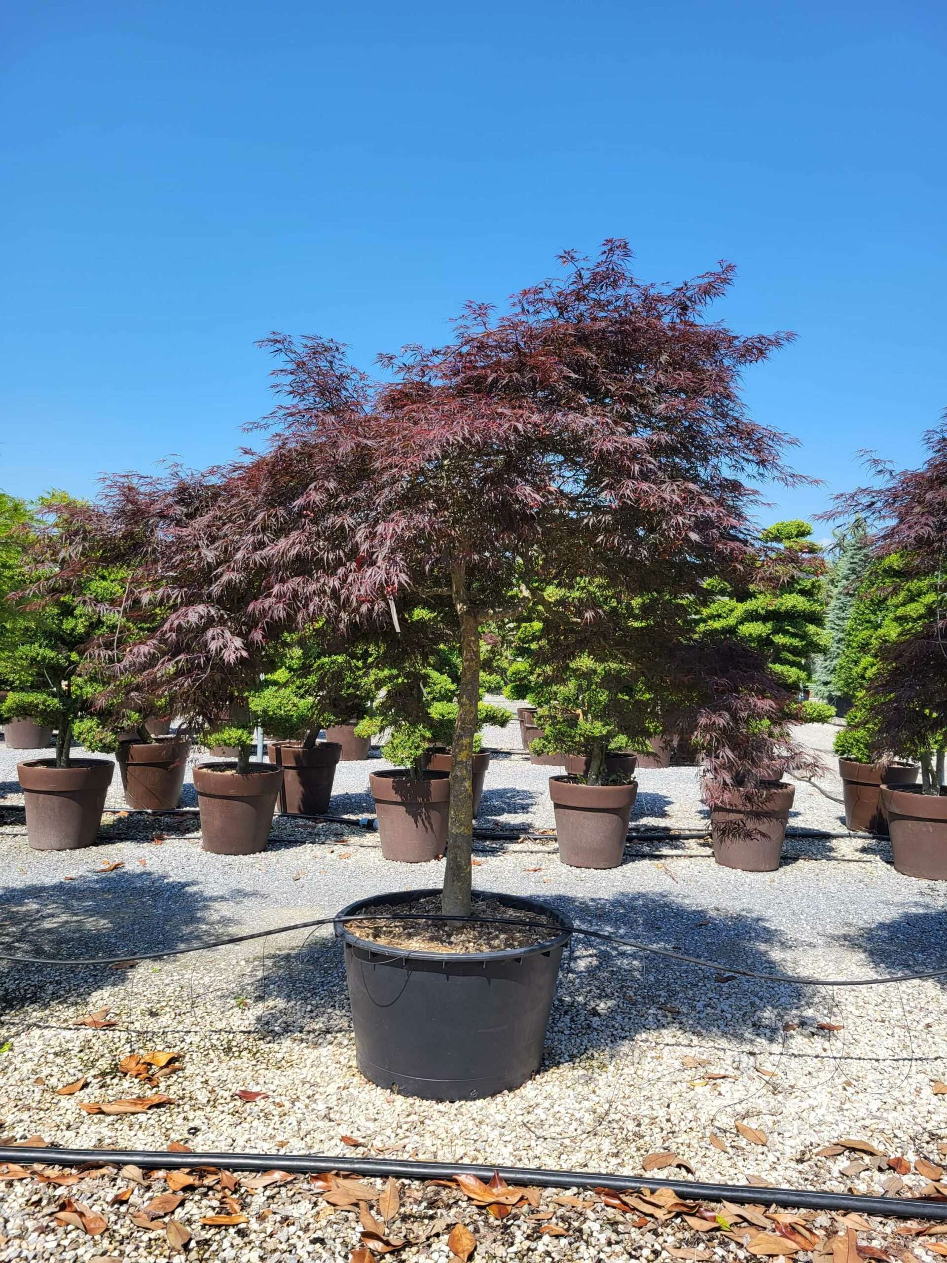 1685092976 scaled 097dcb13