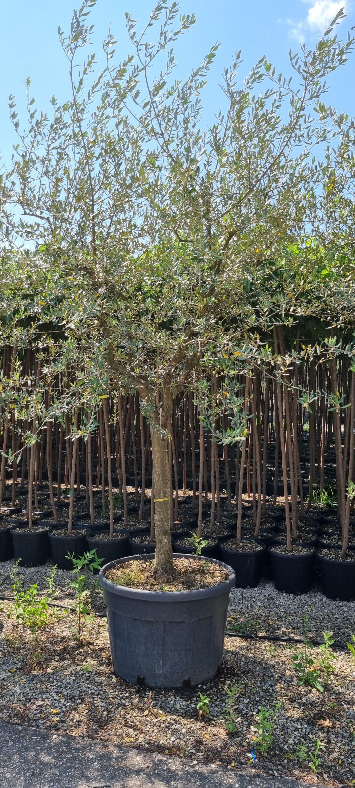 1685528164 scaled 09be99c9