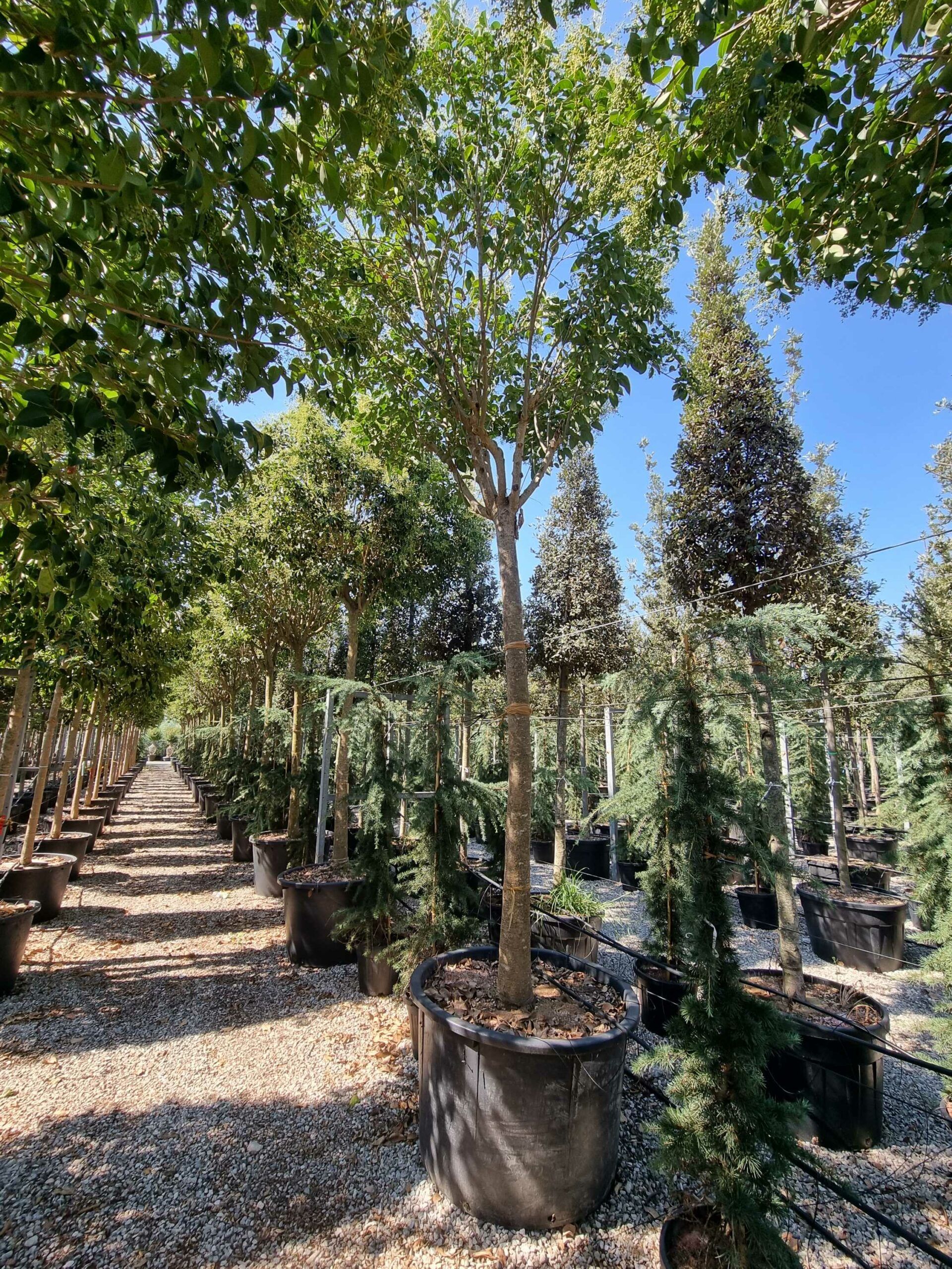 1692607784 scaled 094bb1c2