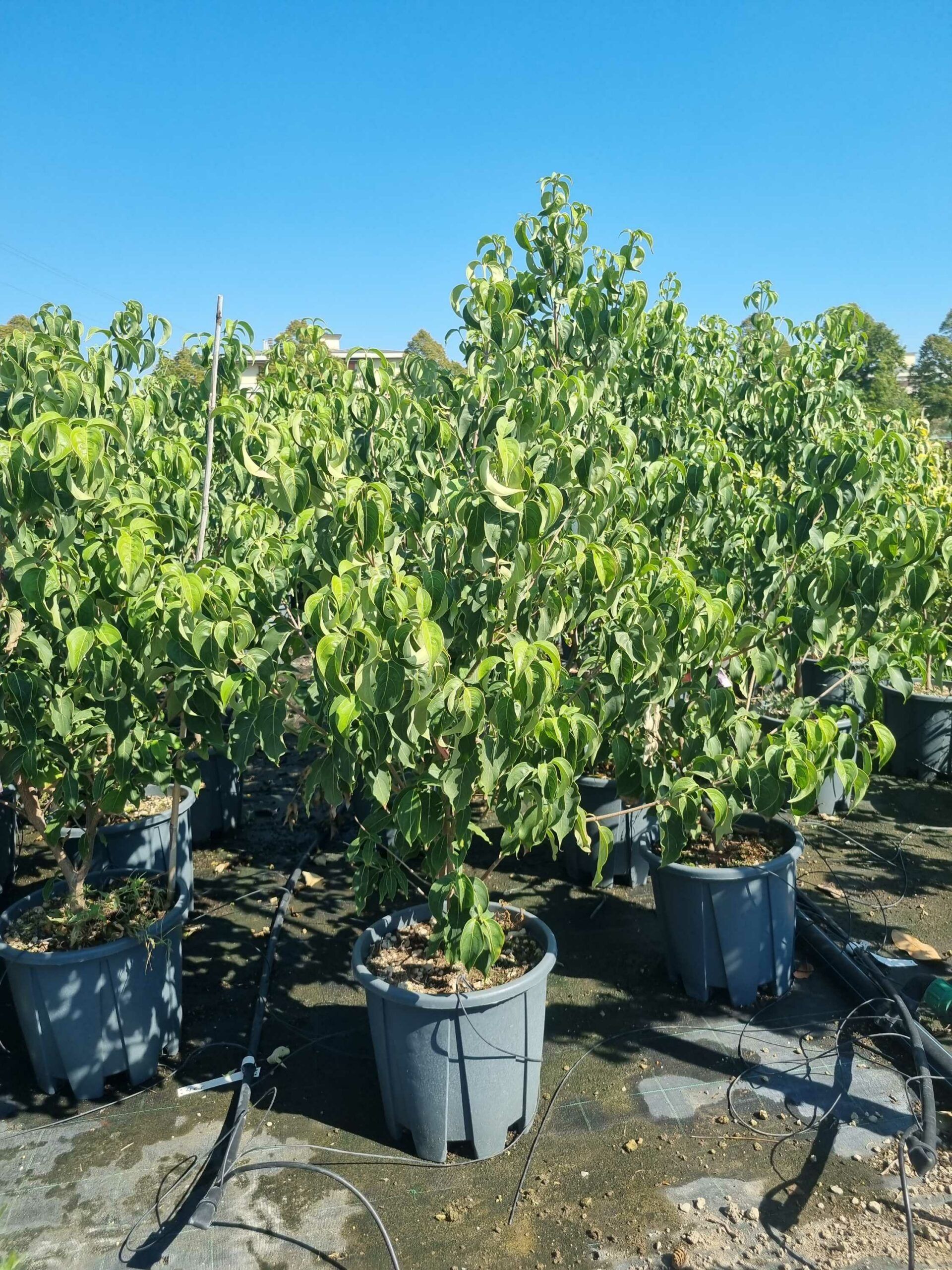 1694437942 scaled 09d6c14a