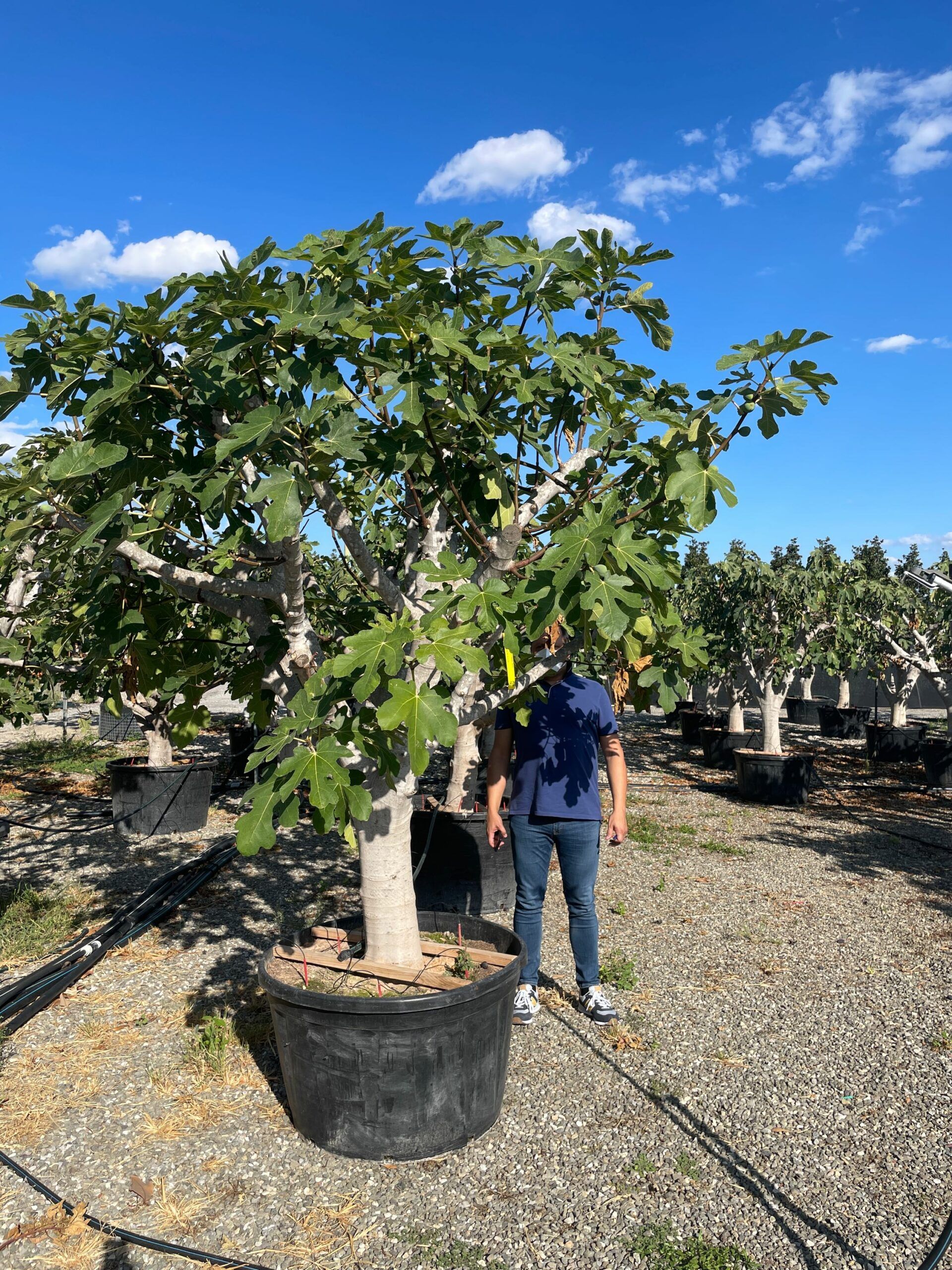 1630594595 scaled 0abadb3a