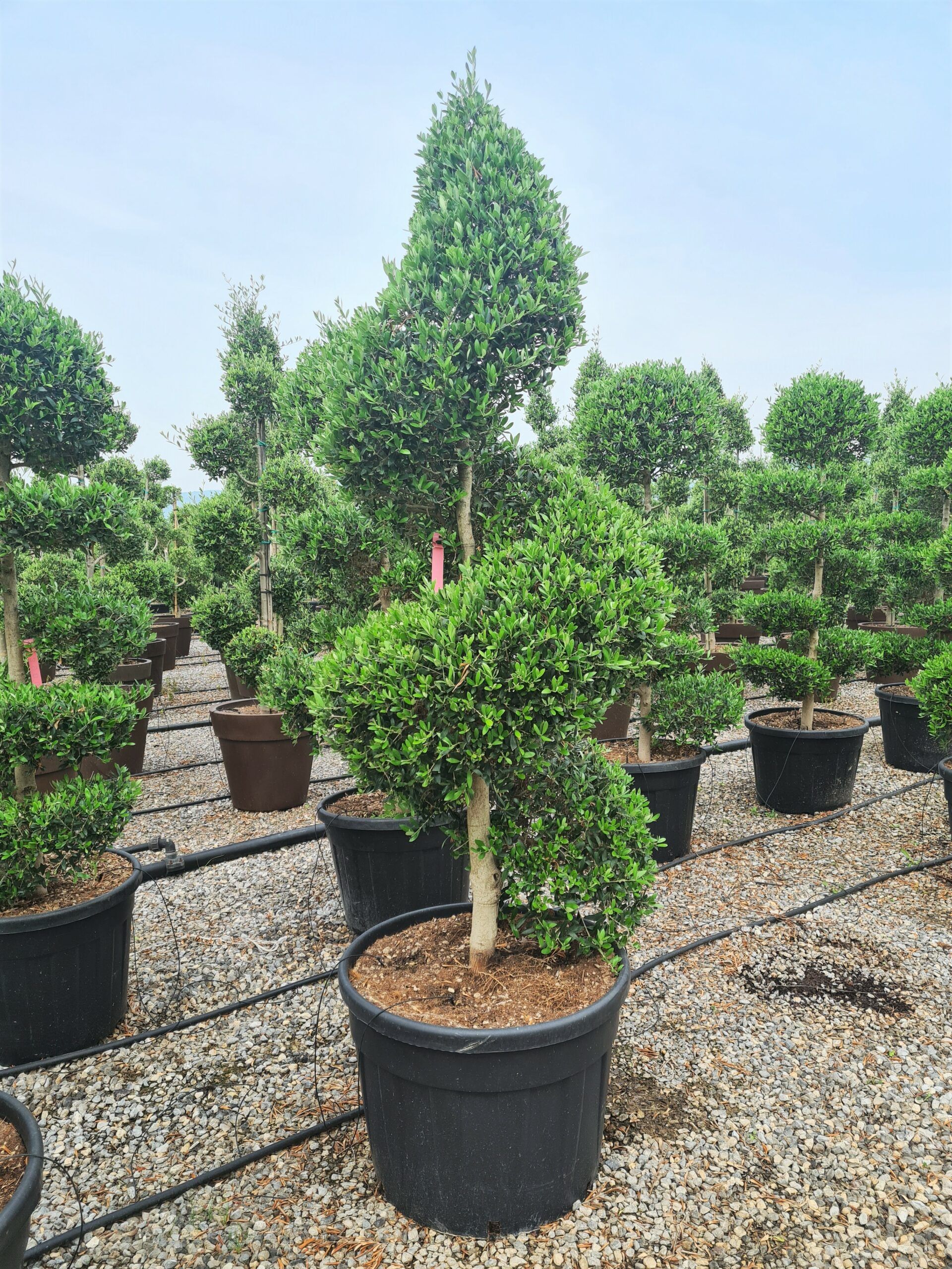 1631795716 52 scaled 0af6a223