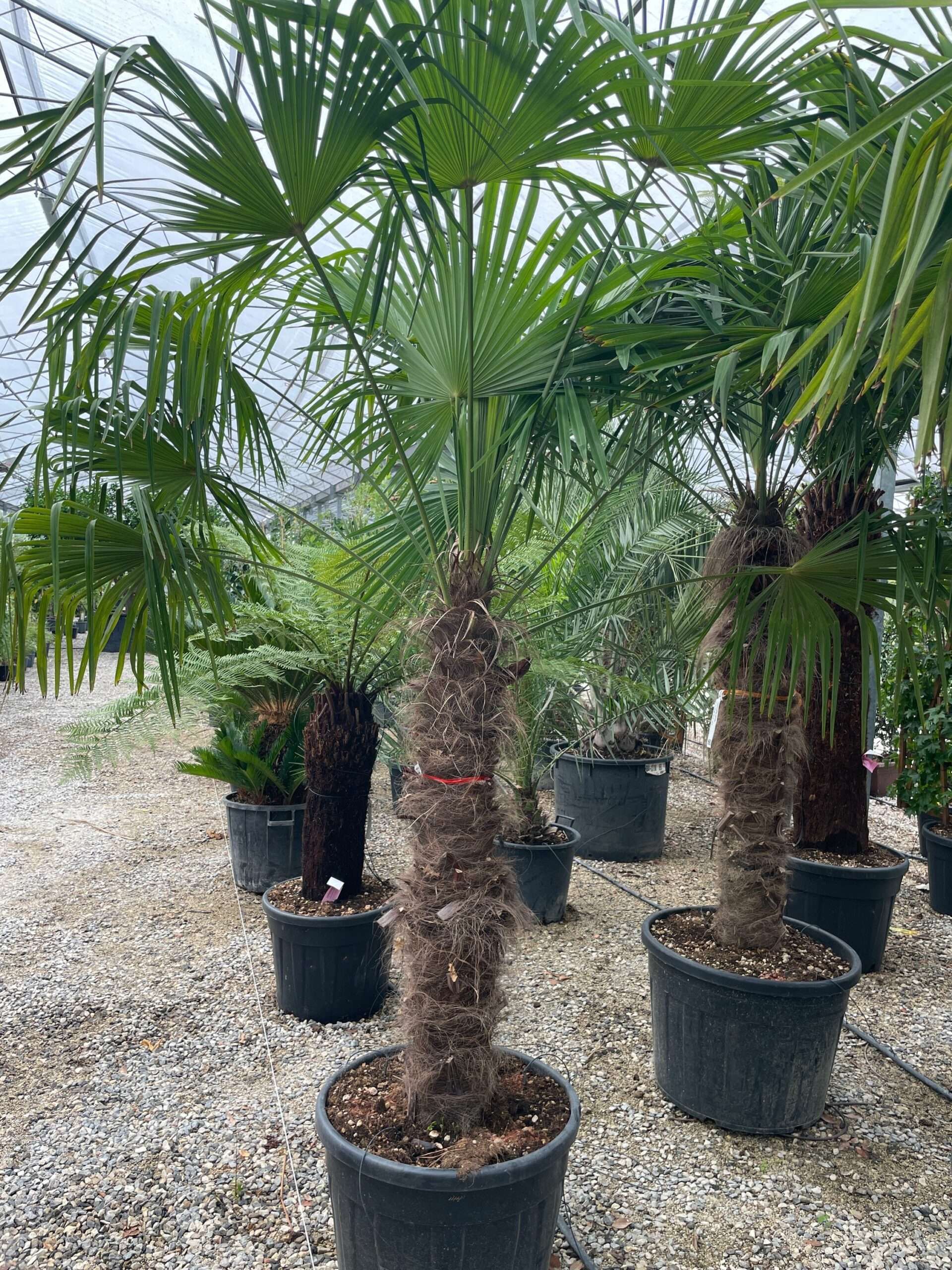 1661934494 scaled 0aa95536