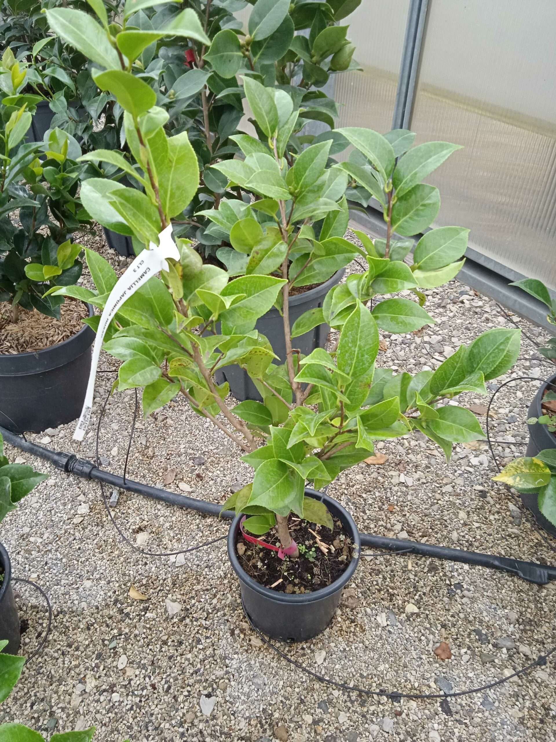 1662188501 scaled 0a7af3b6