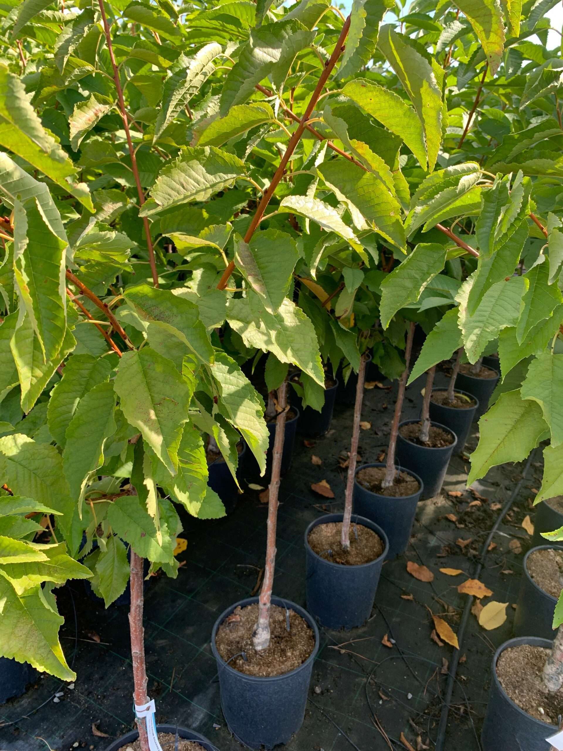 1662367688 scaled 0a8db82e