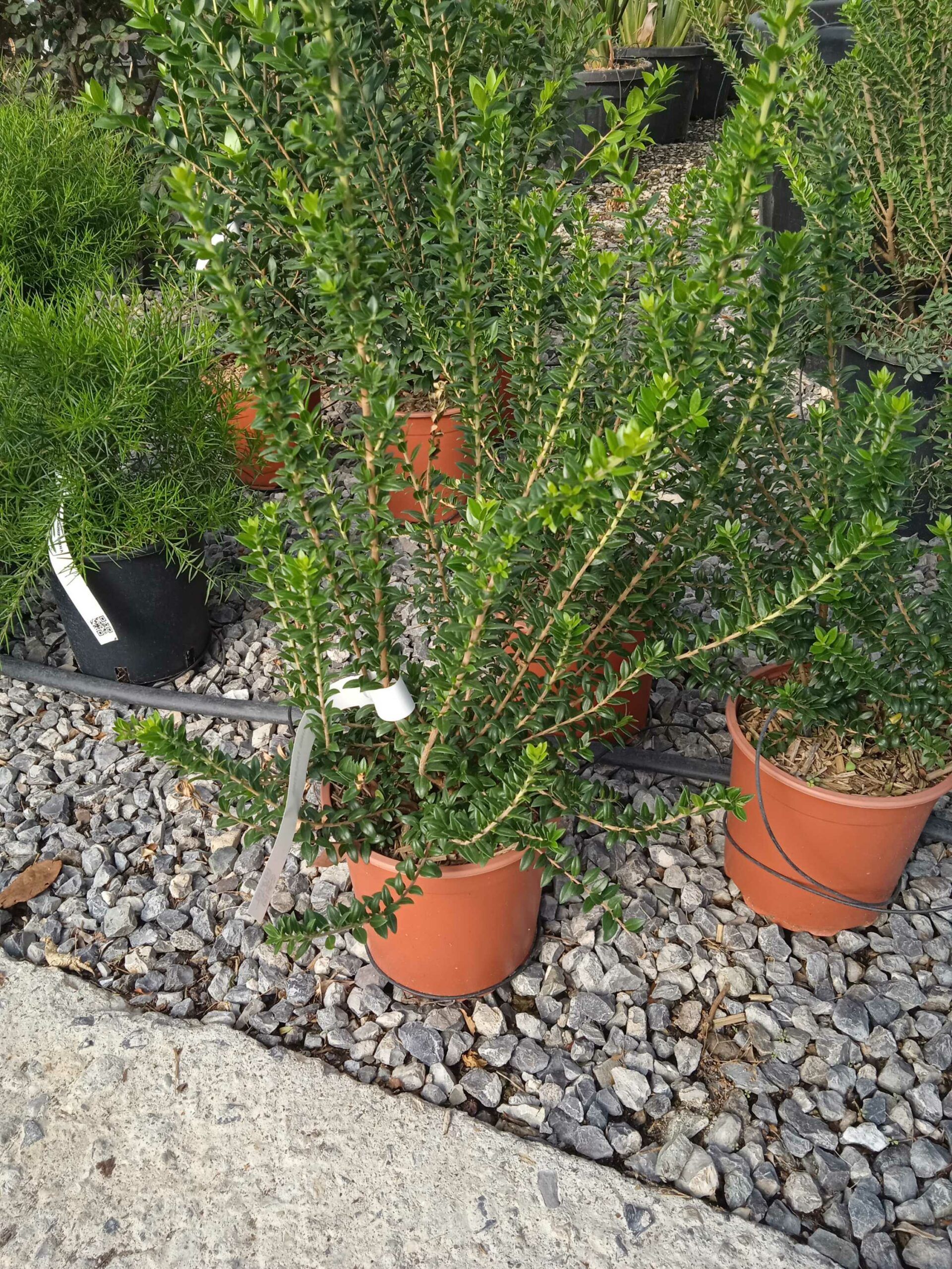 1662449756 scaled 0a739ac7