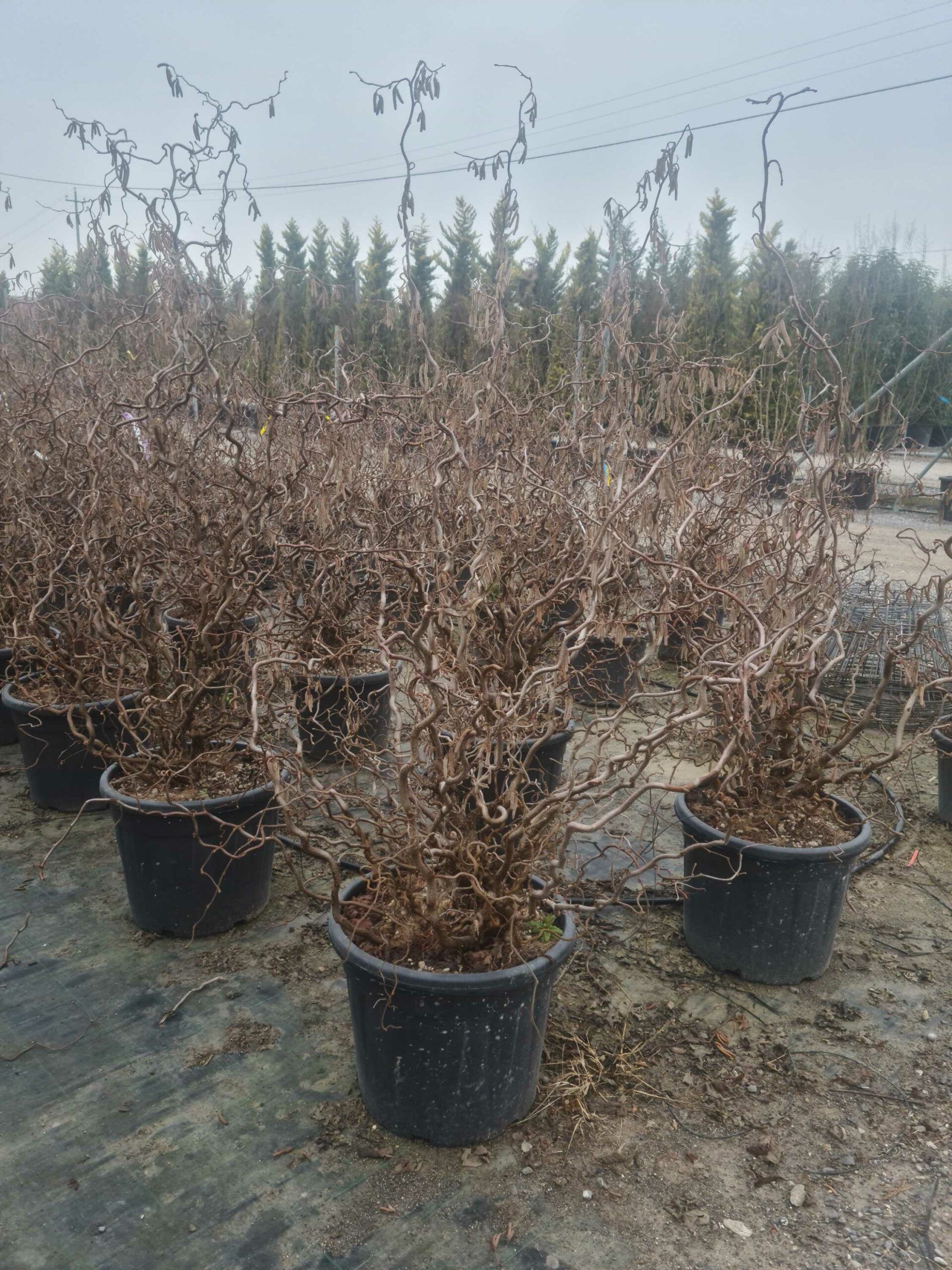 1677053680 scaled 0a6f1fb8