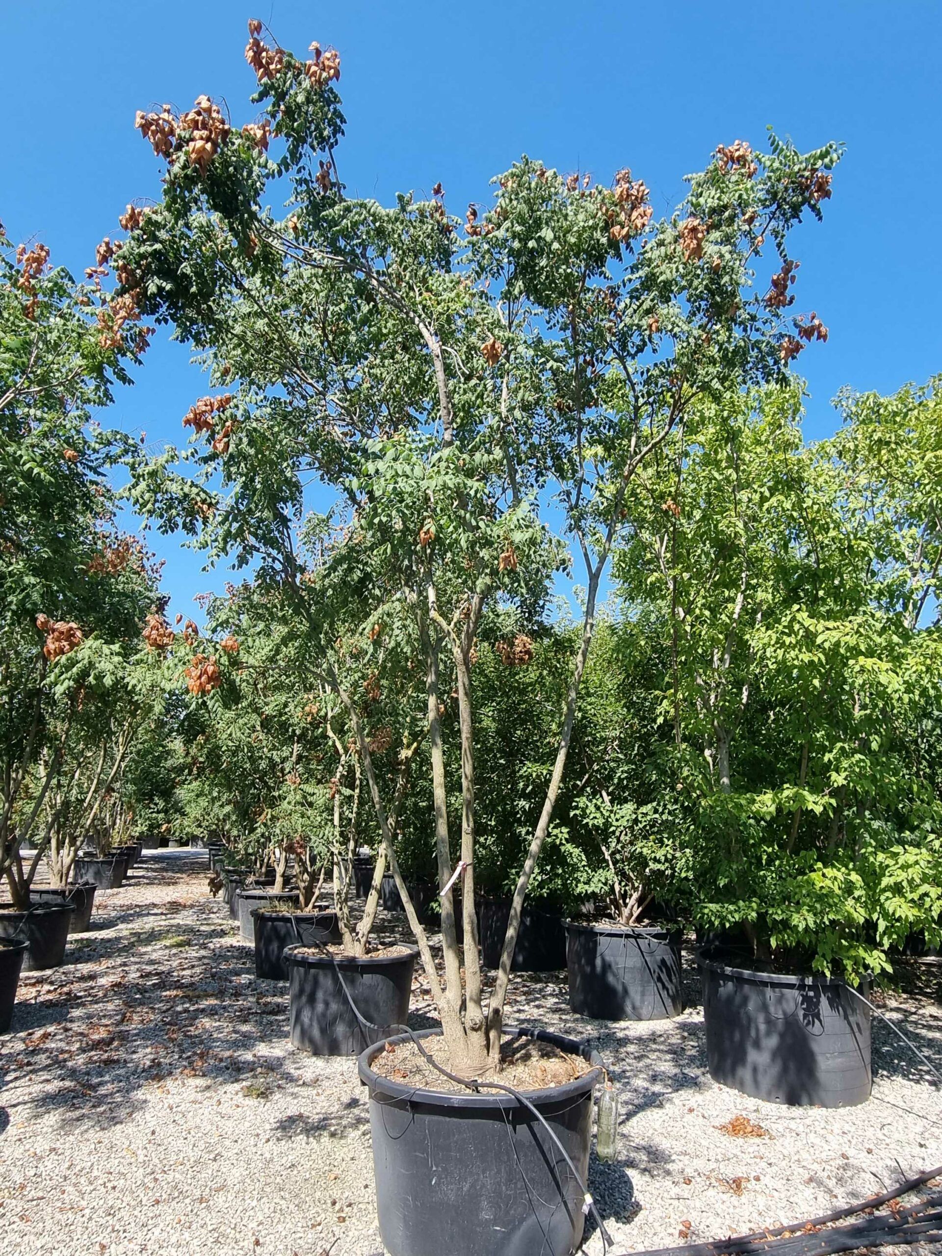 1692610881 scaled 0acb2881