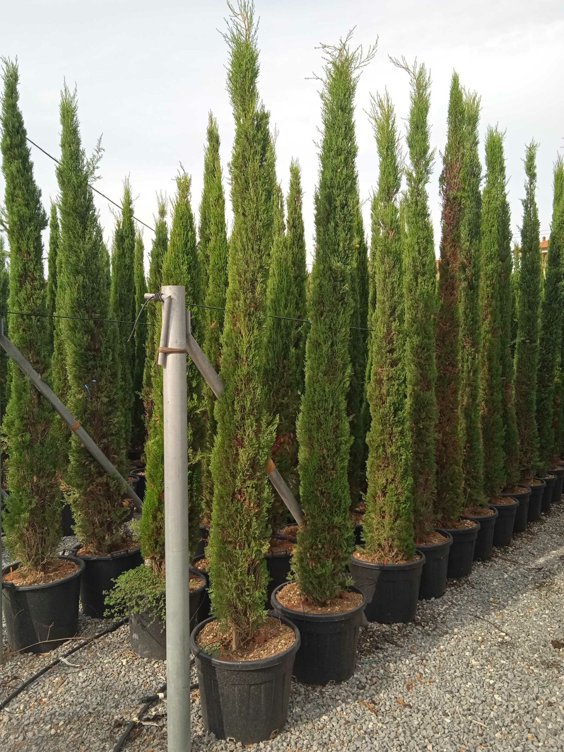 1662017961 scaled 0b1b557d