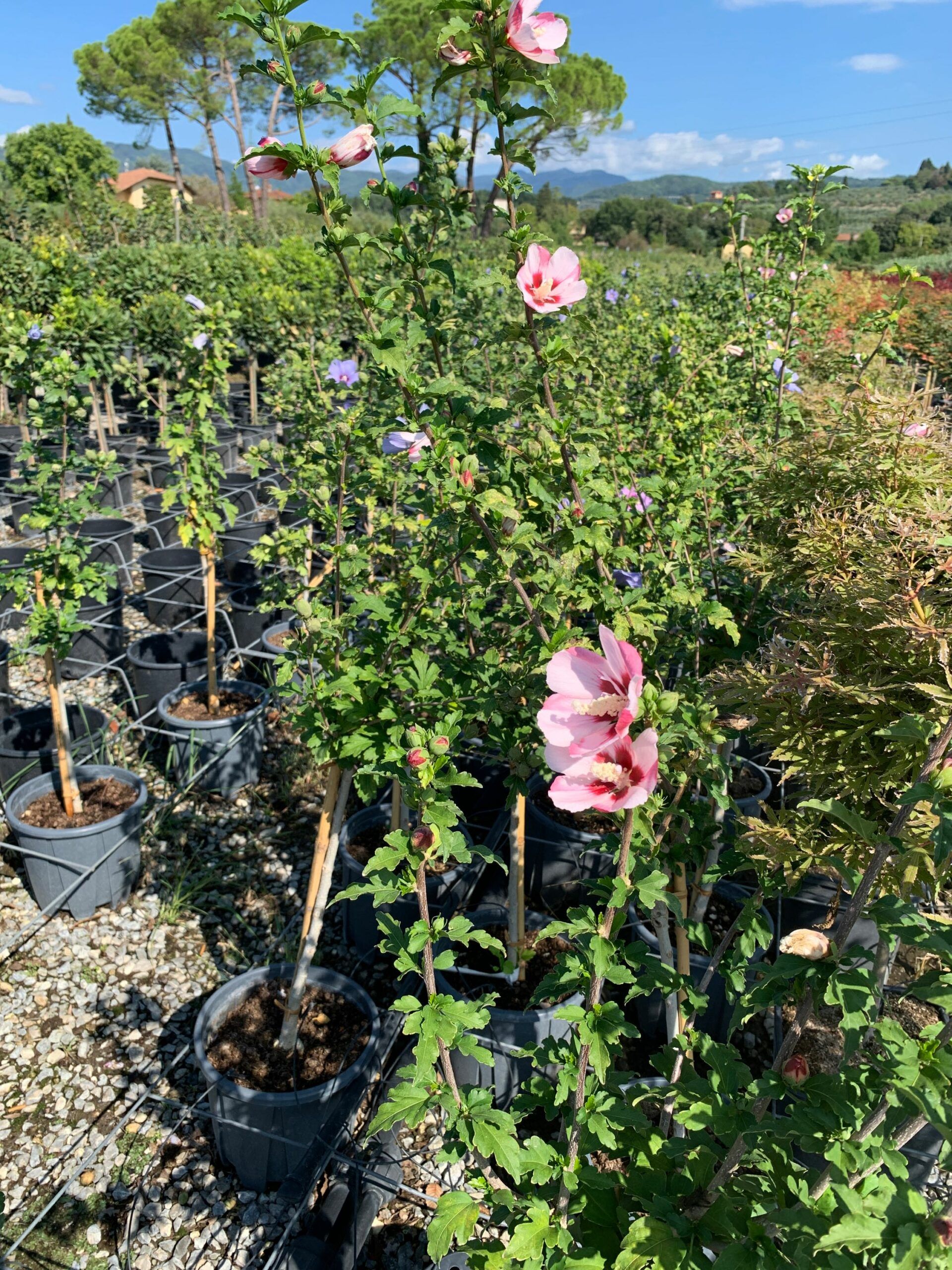 1662108379 scaled 0ba28641