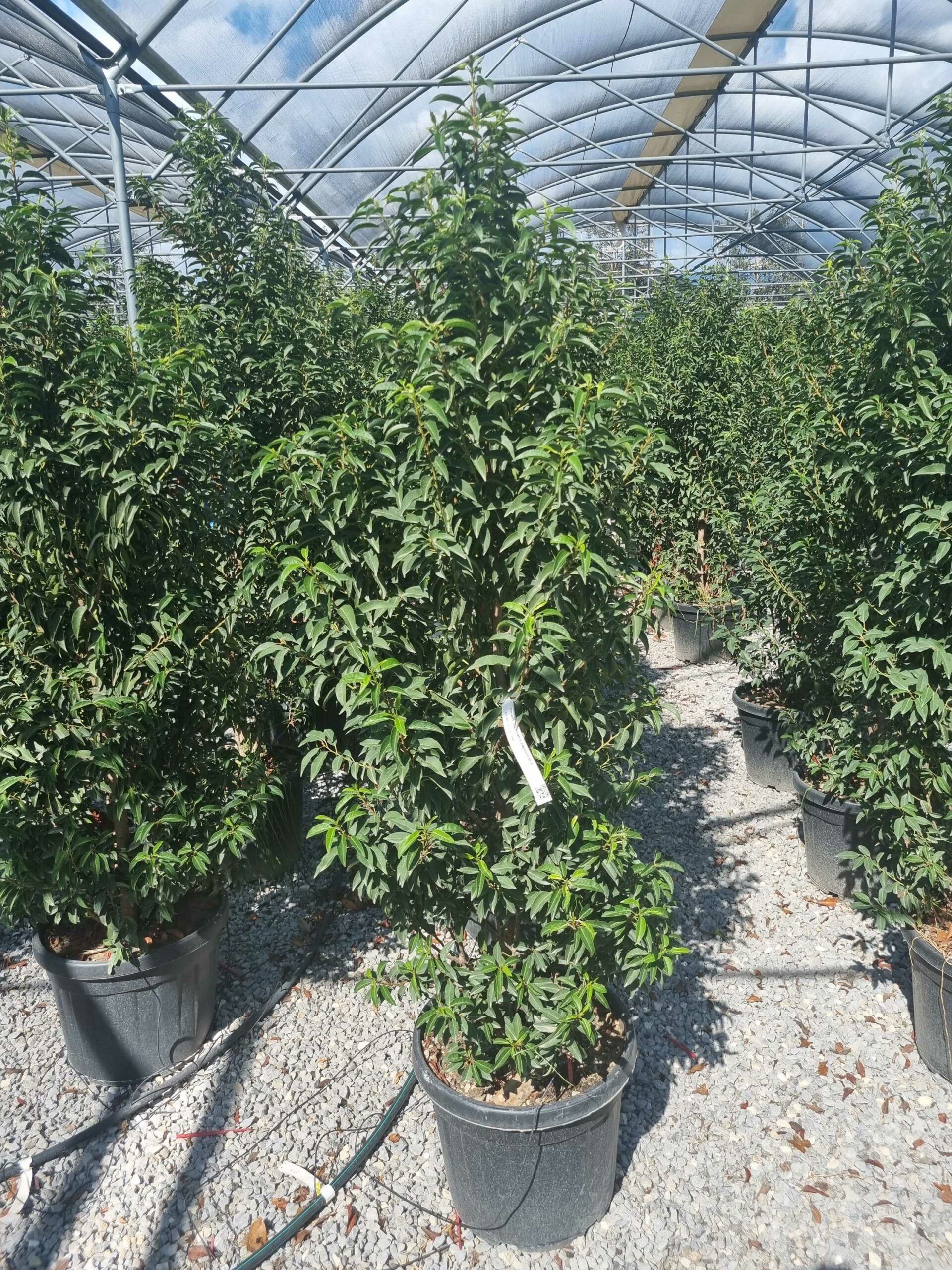 1663589391 scaled 0bb849f7