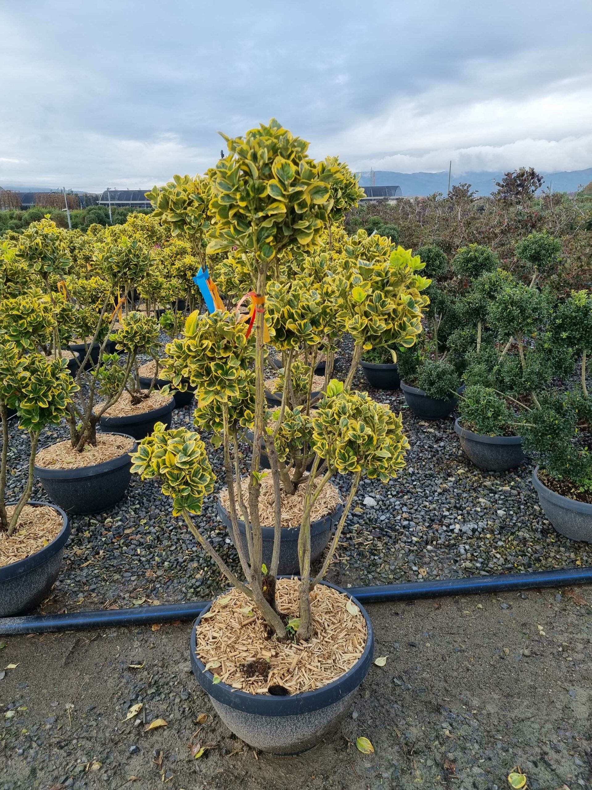 1670325448 scaled 0b34111a