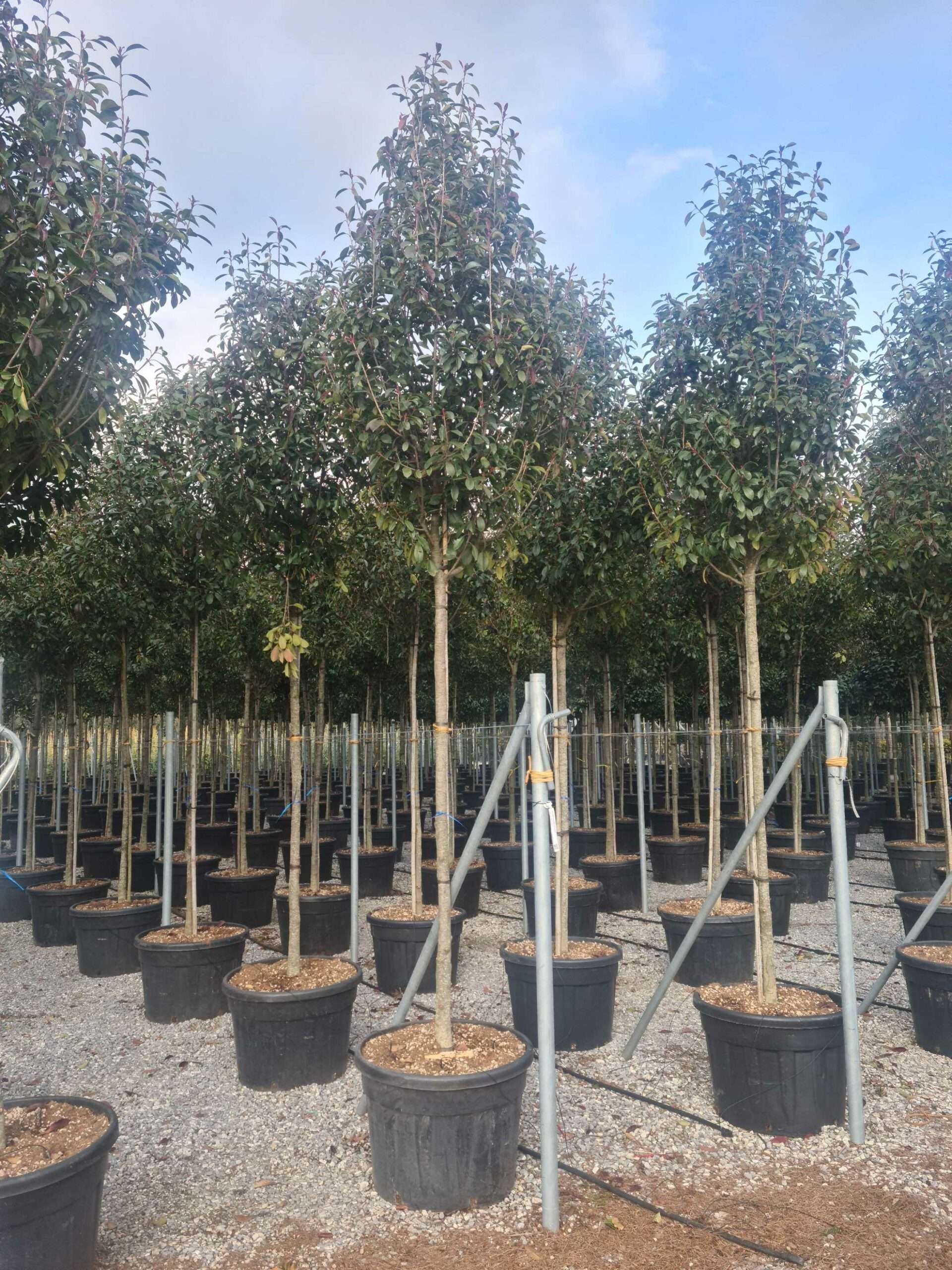 1675434442 scaled 0ba4859f