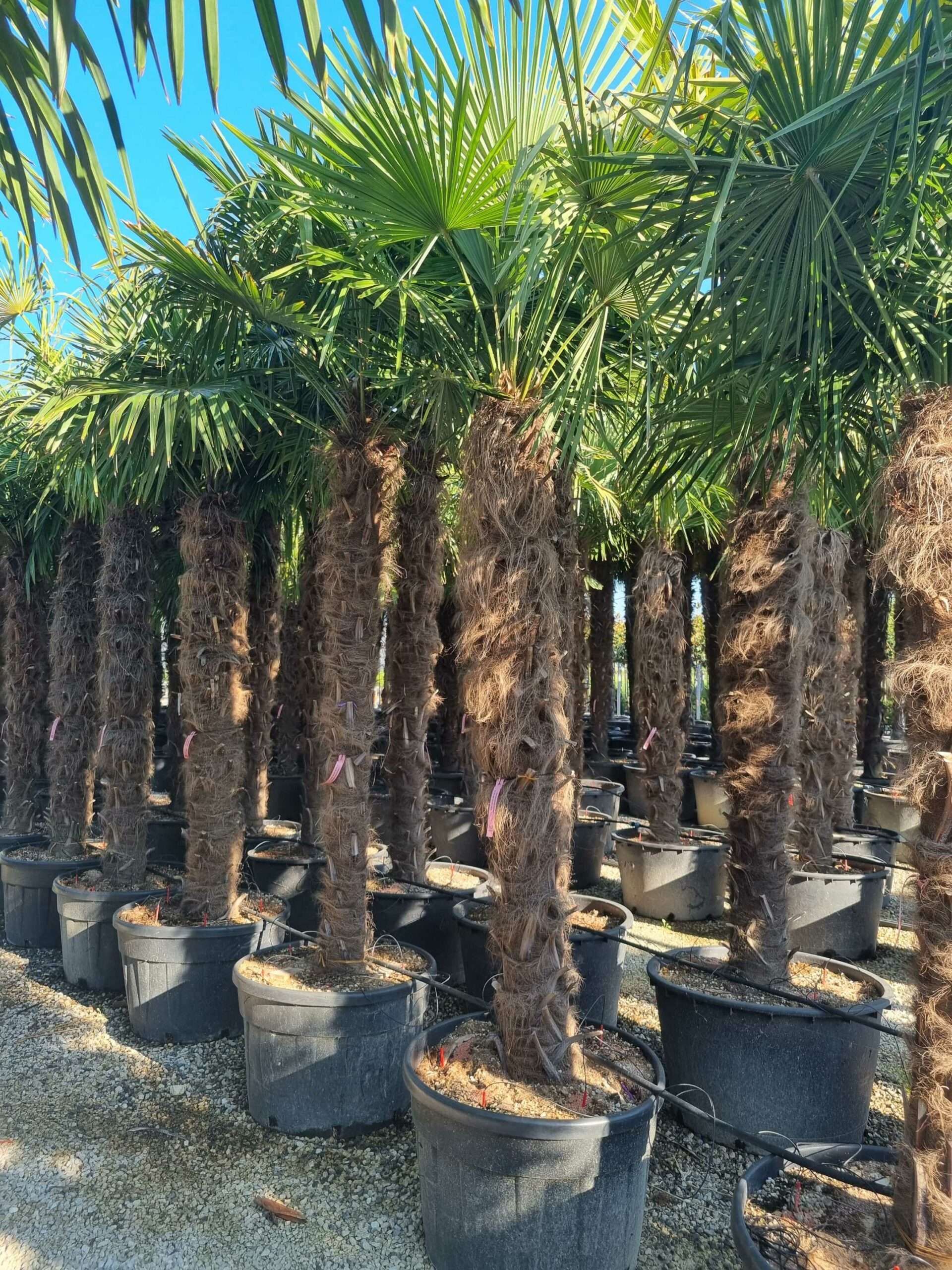 1692686720 scaled 0b368f73