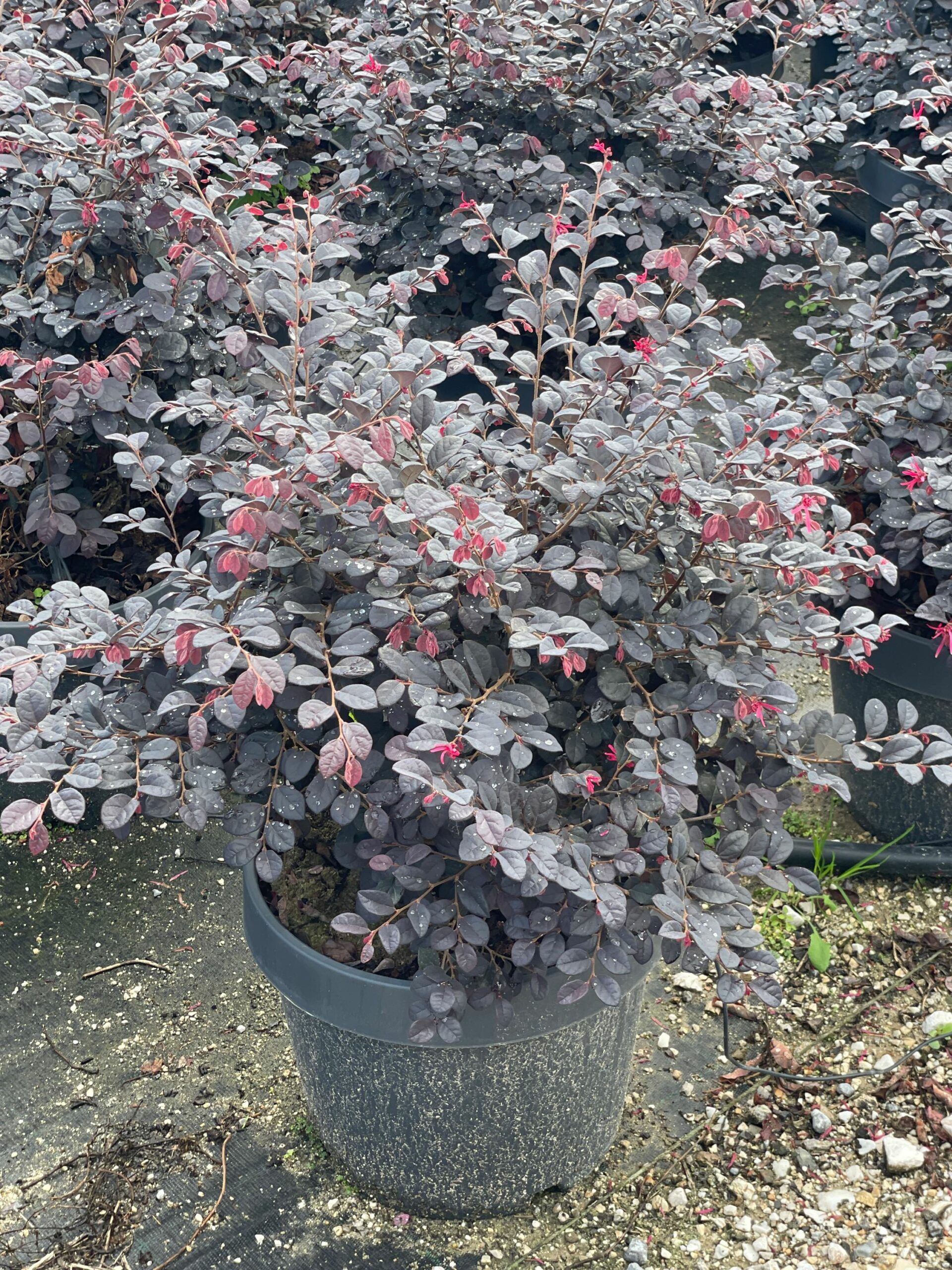 1631959438 scaled 0c713557